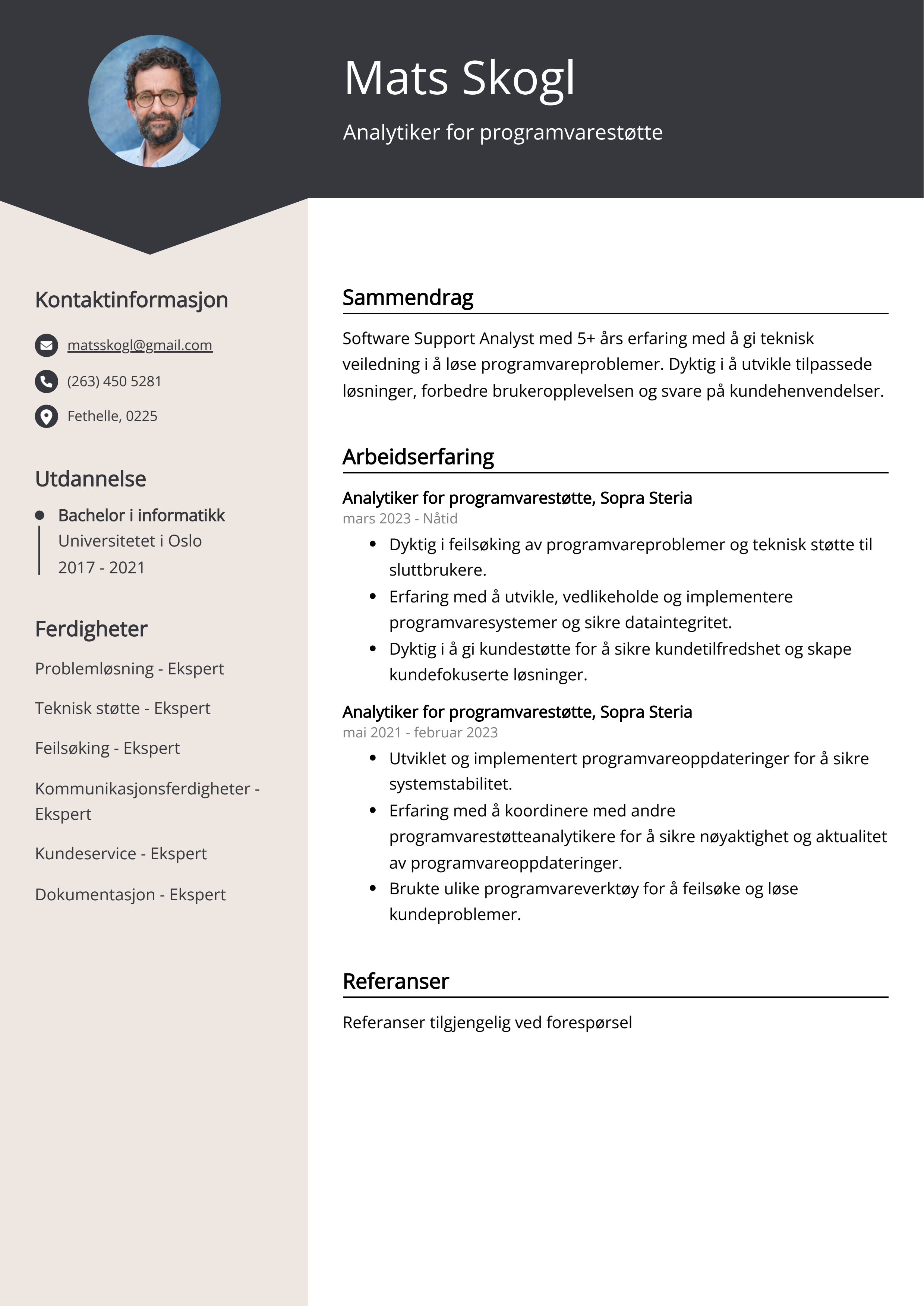 Analytiker for programvarestøtte CV-eksempel