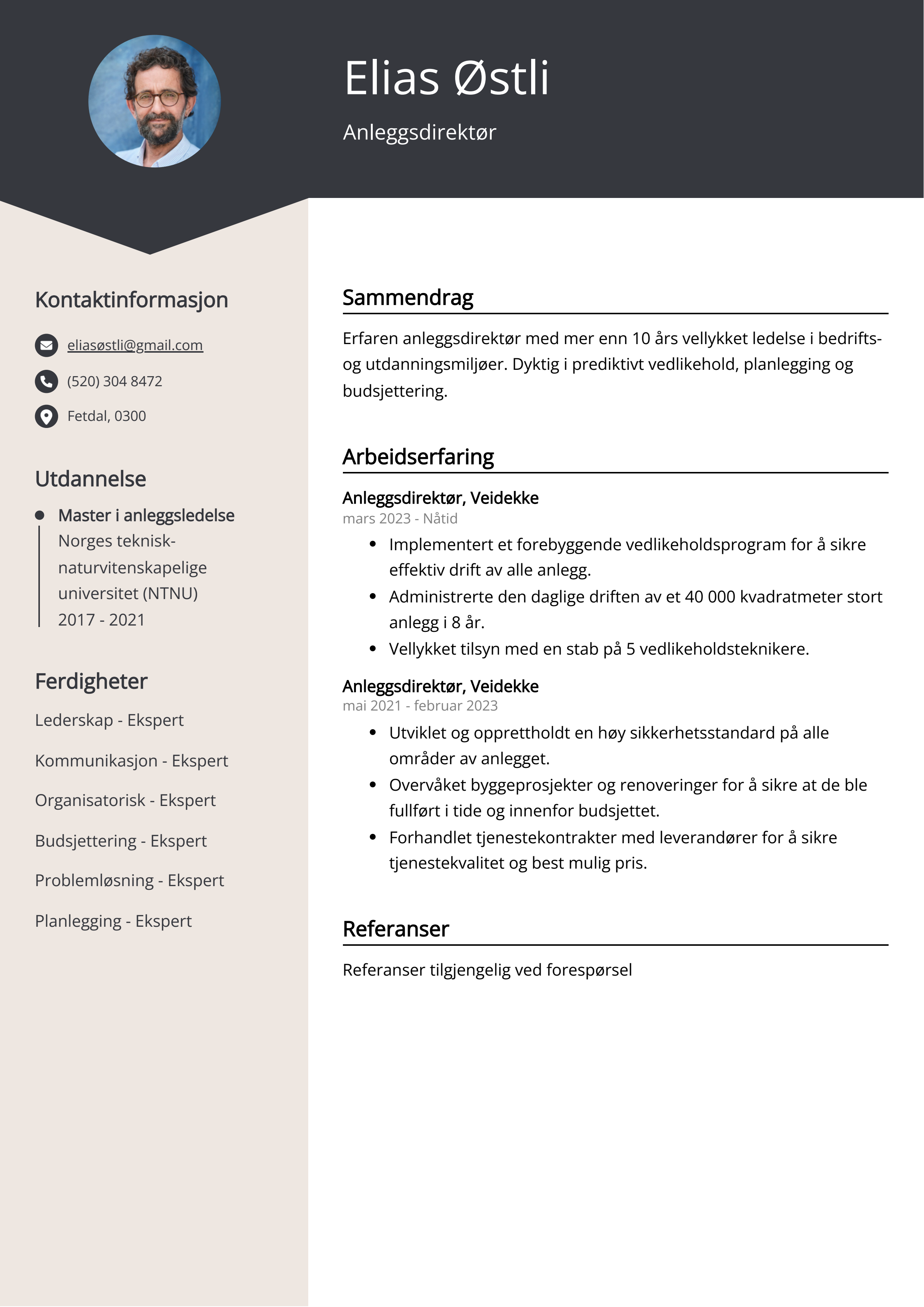 Anleggsdirektør CV Eksempel