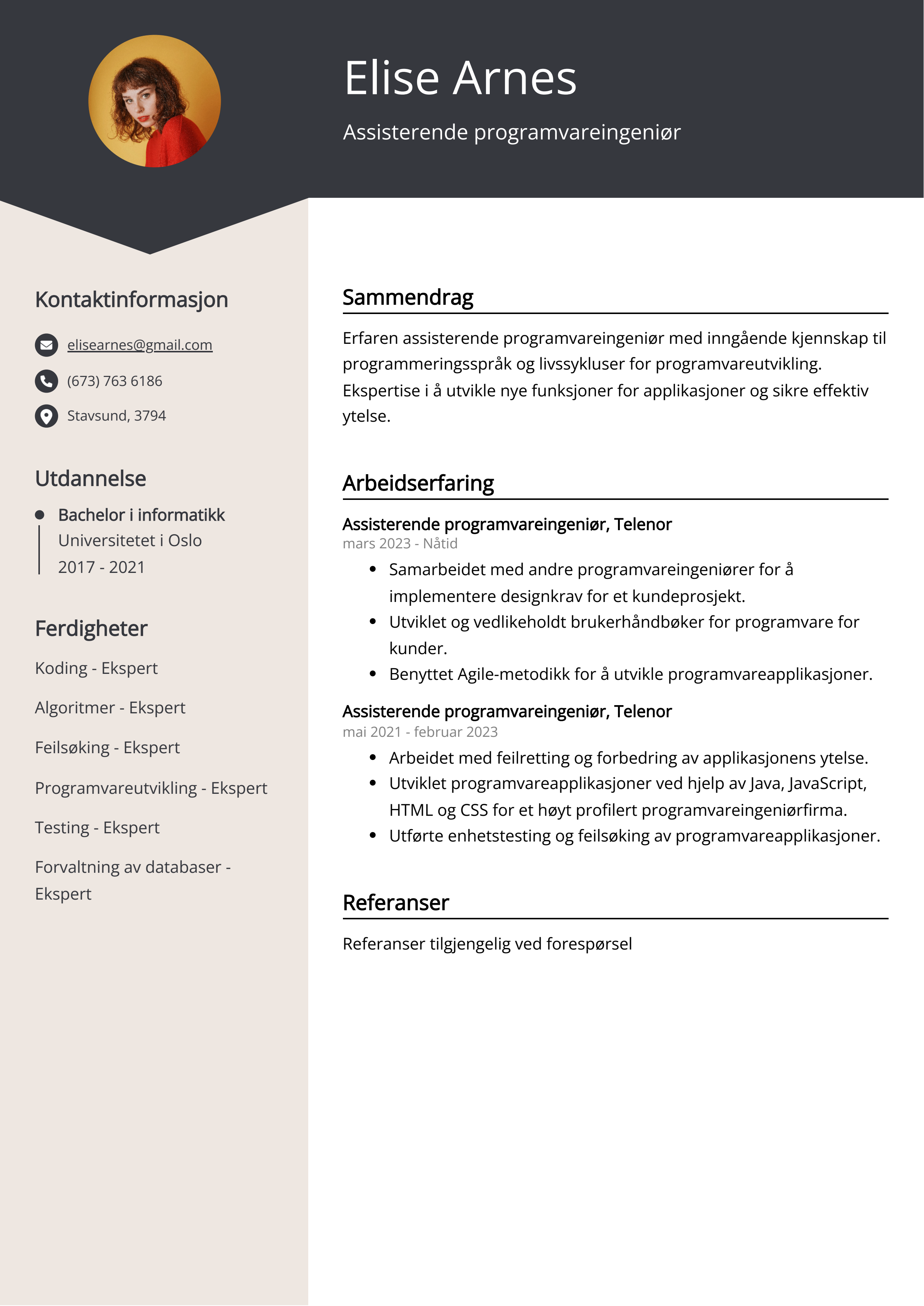 Assisterende programvareingeniør CV-eksempel