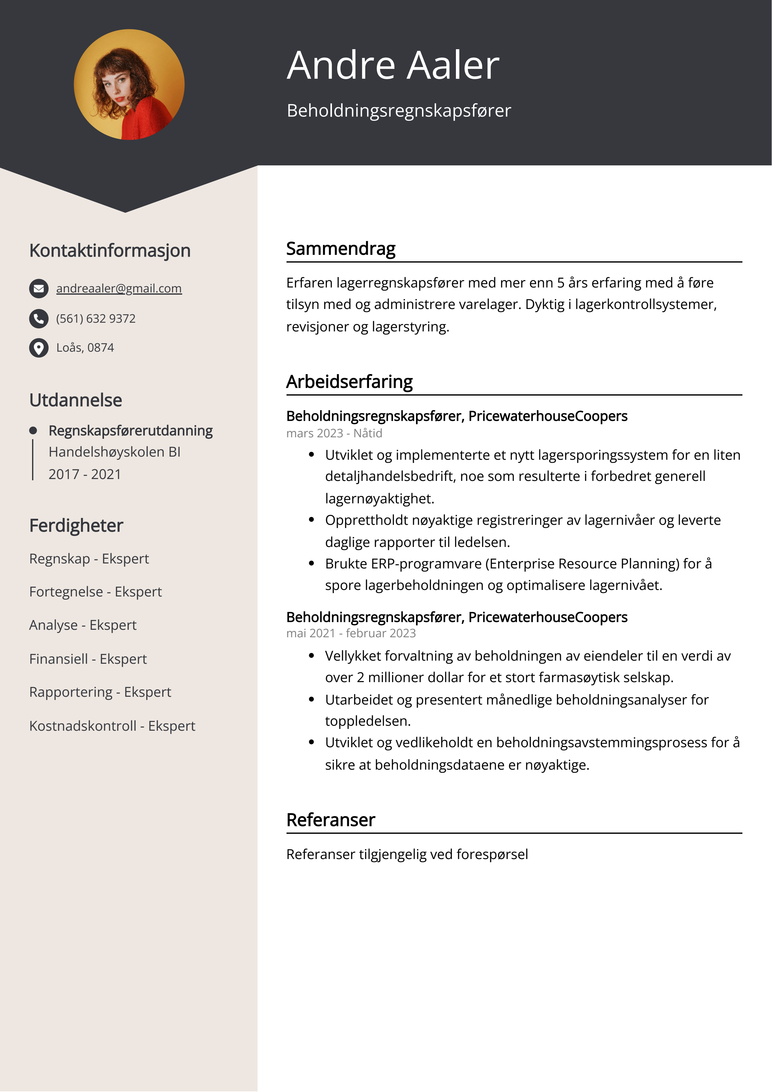 Beholdningsregnskapsfører CV Eksempel