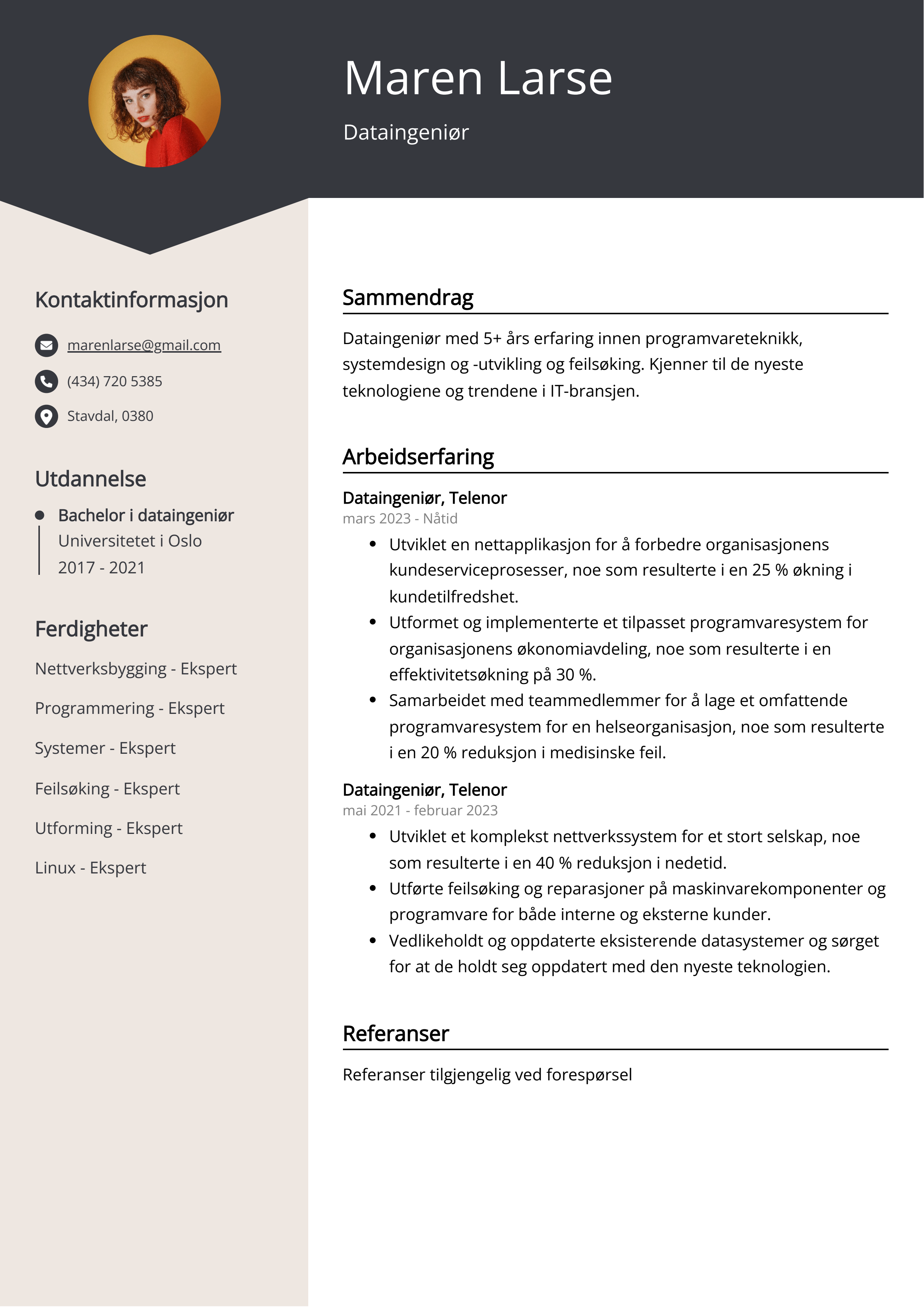 Dataingeniør CV-eksempel