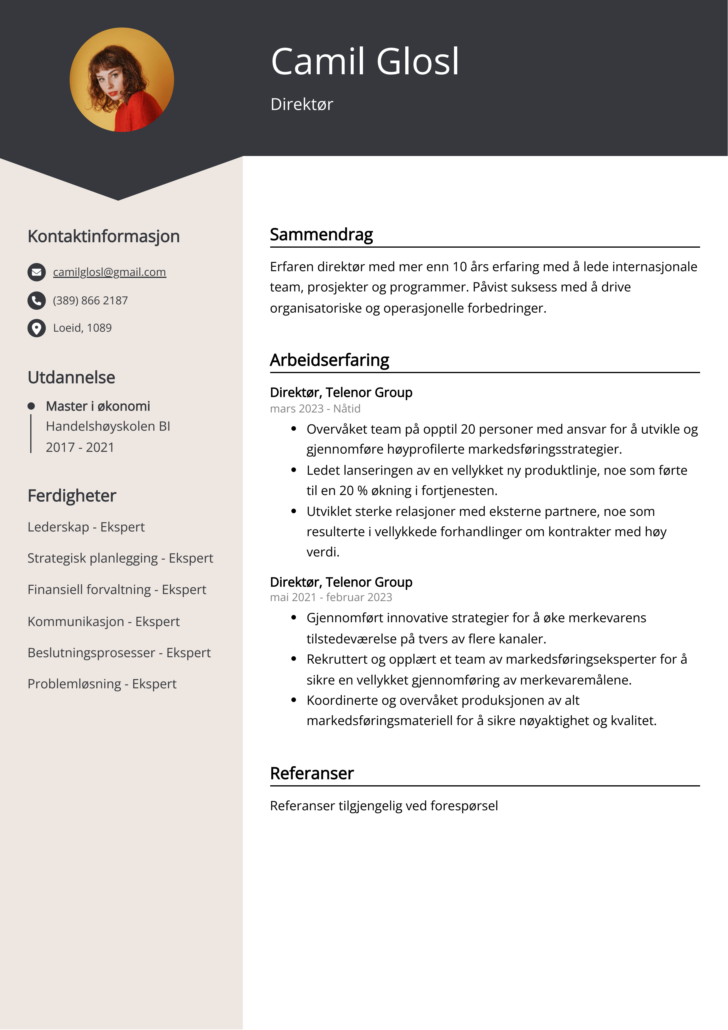 Direktør CV-eksempel