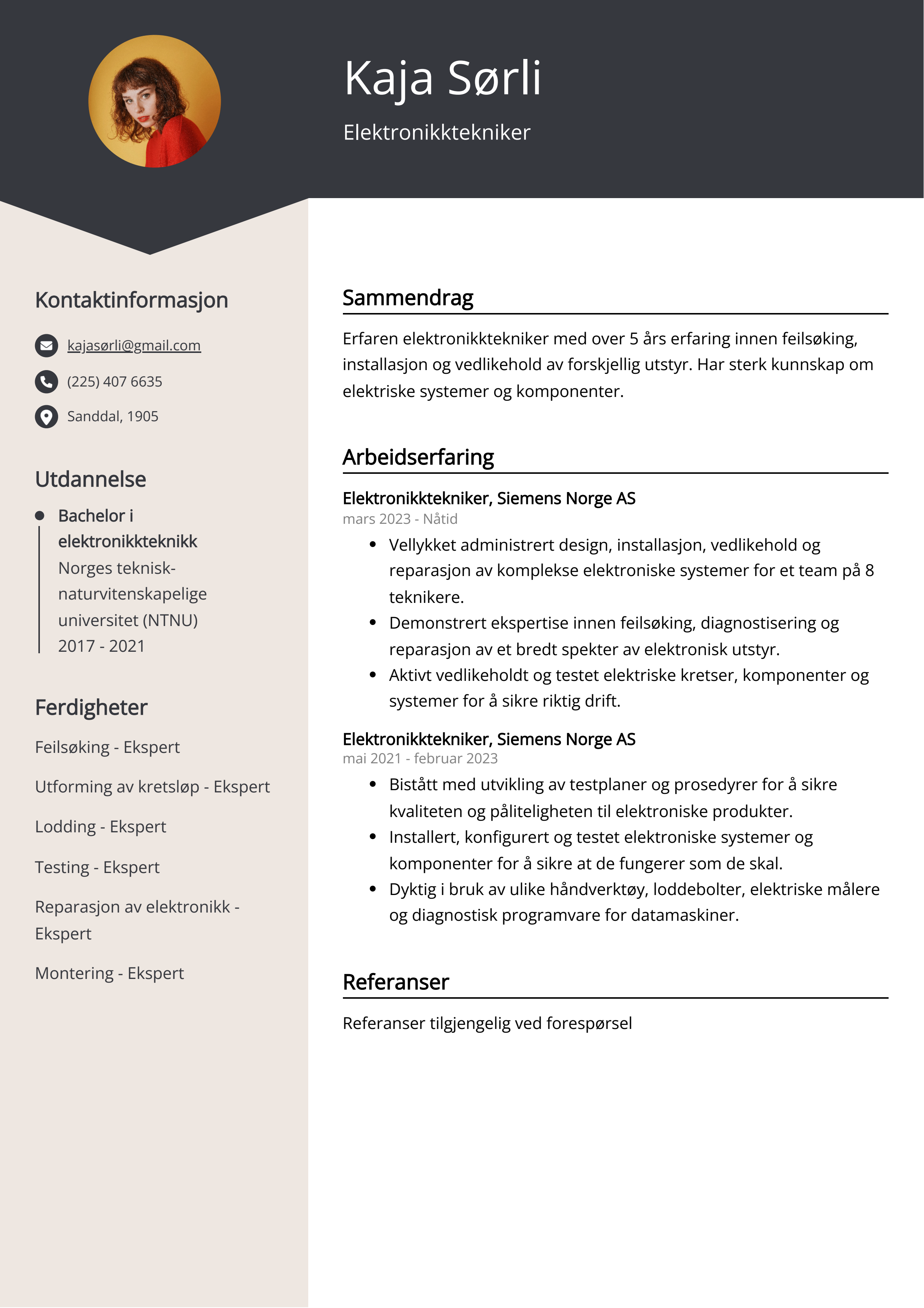 Elektronikktekniker CV-eksempel