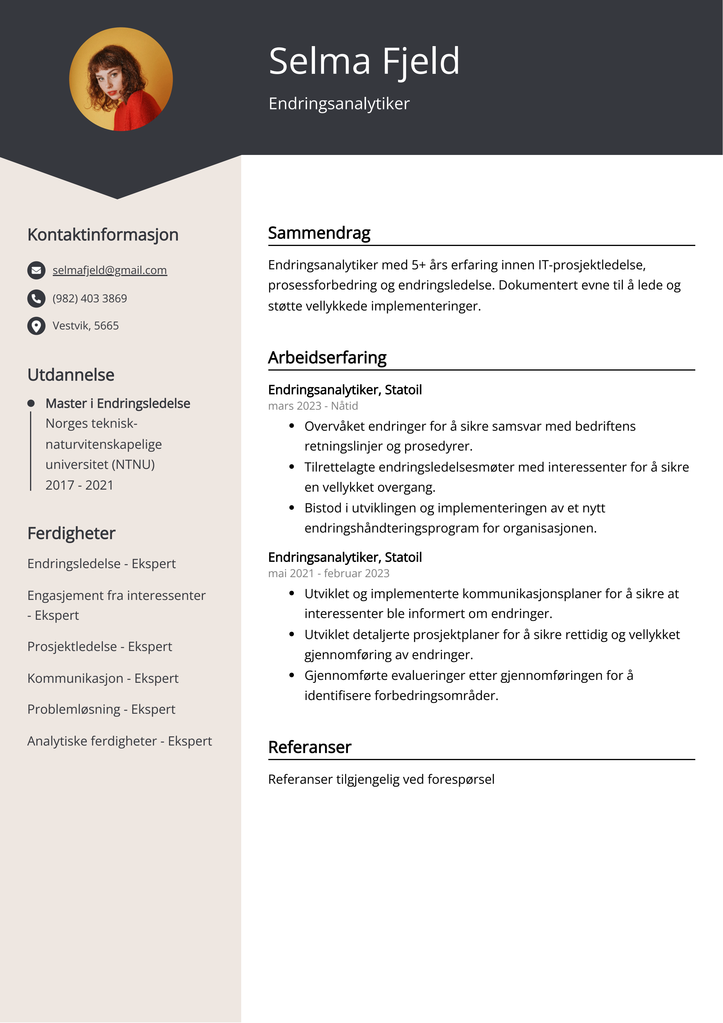 Eksempel på CV for endringsanalytiker