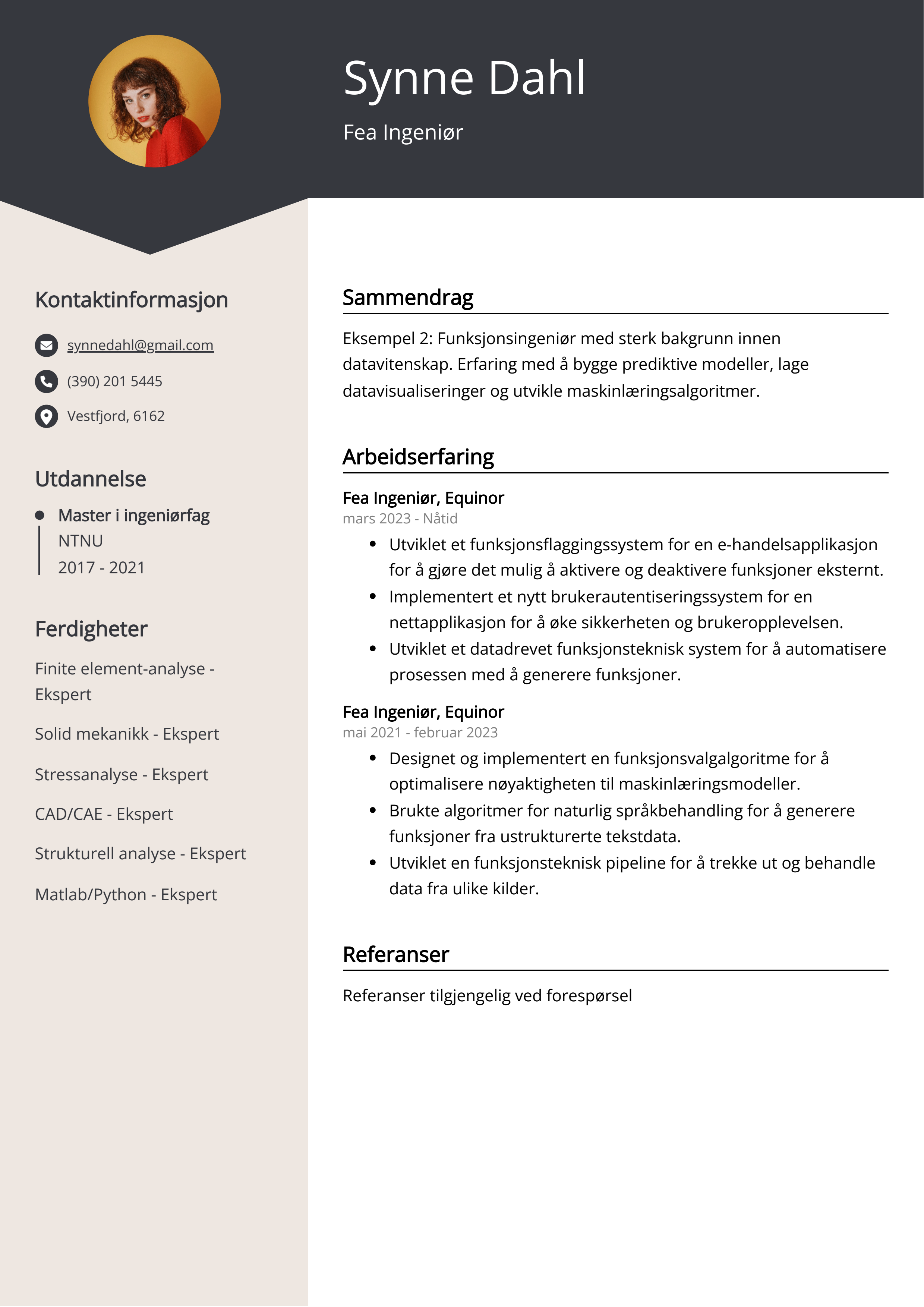 Fea Ingeniør CV Eksempel