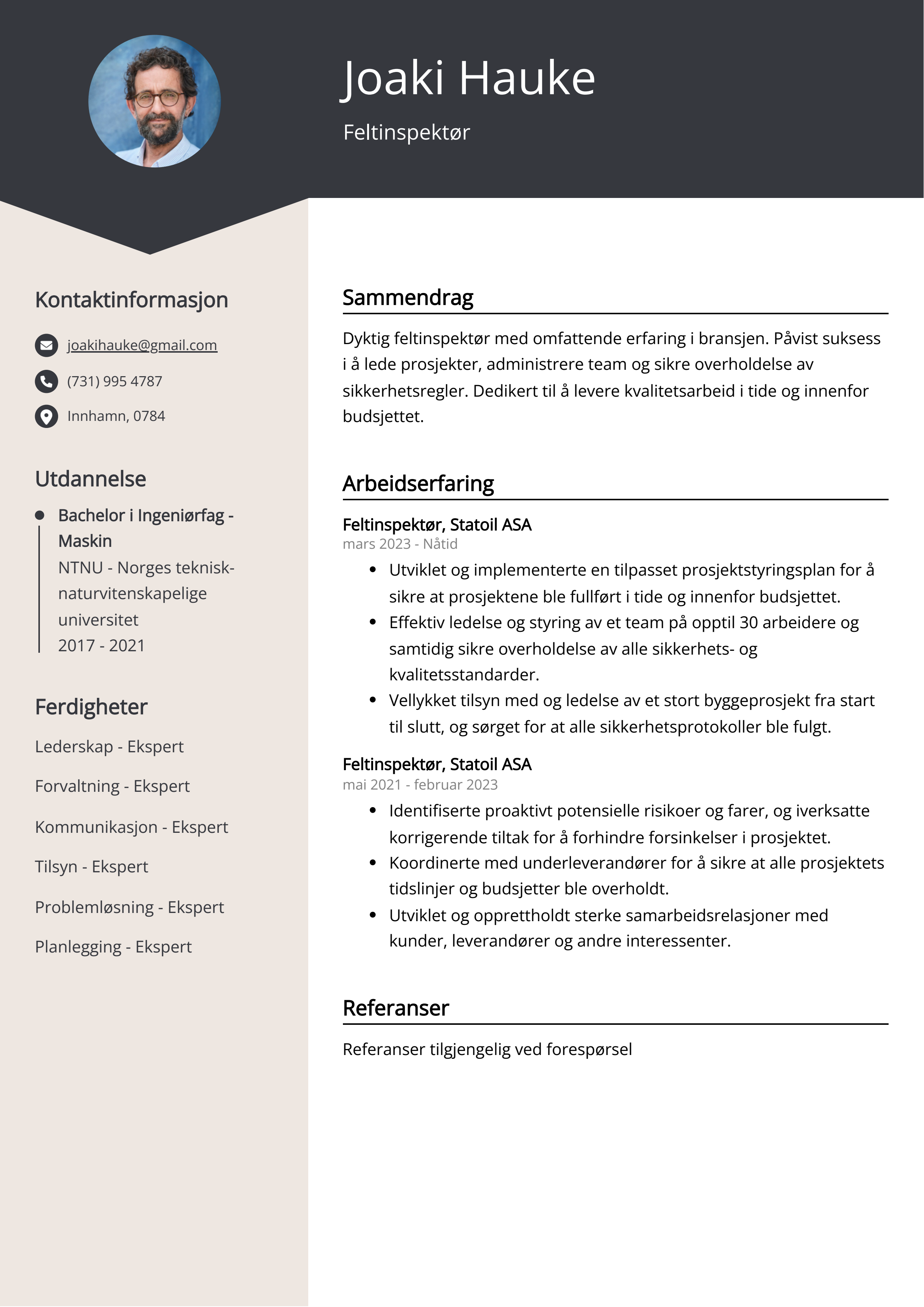 Feltinspektør CV-eksempel