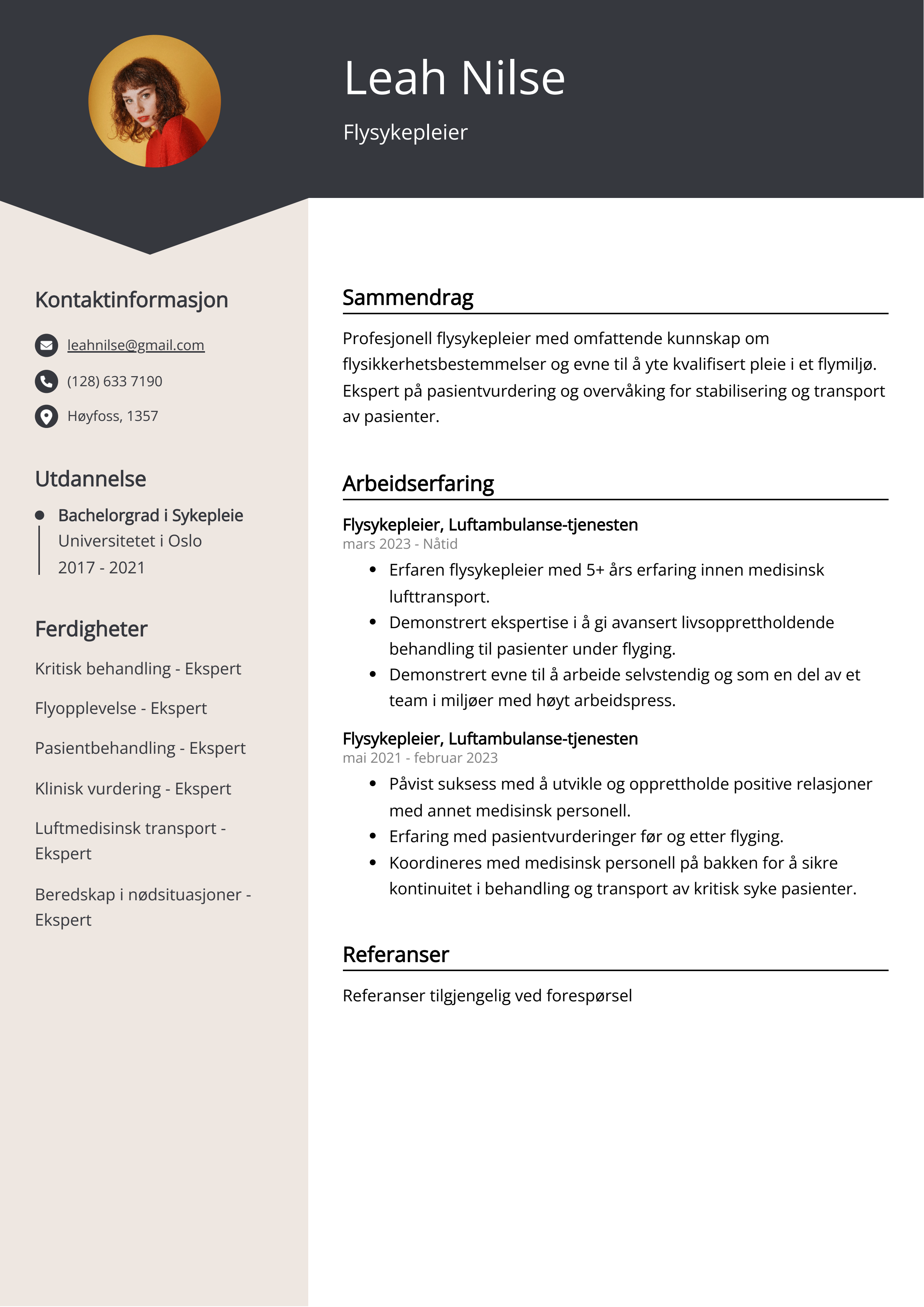 Flysykepleier CV-eksempel