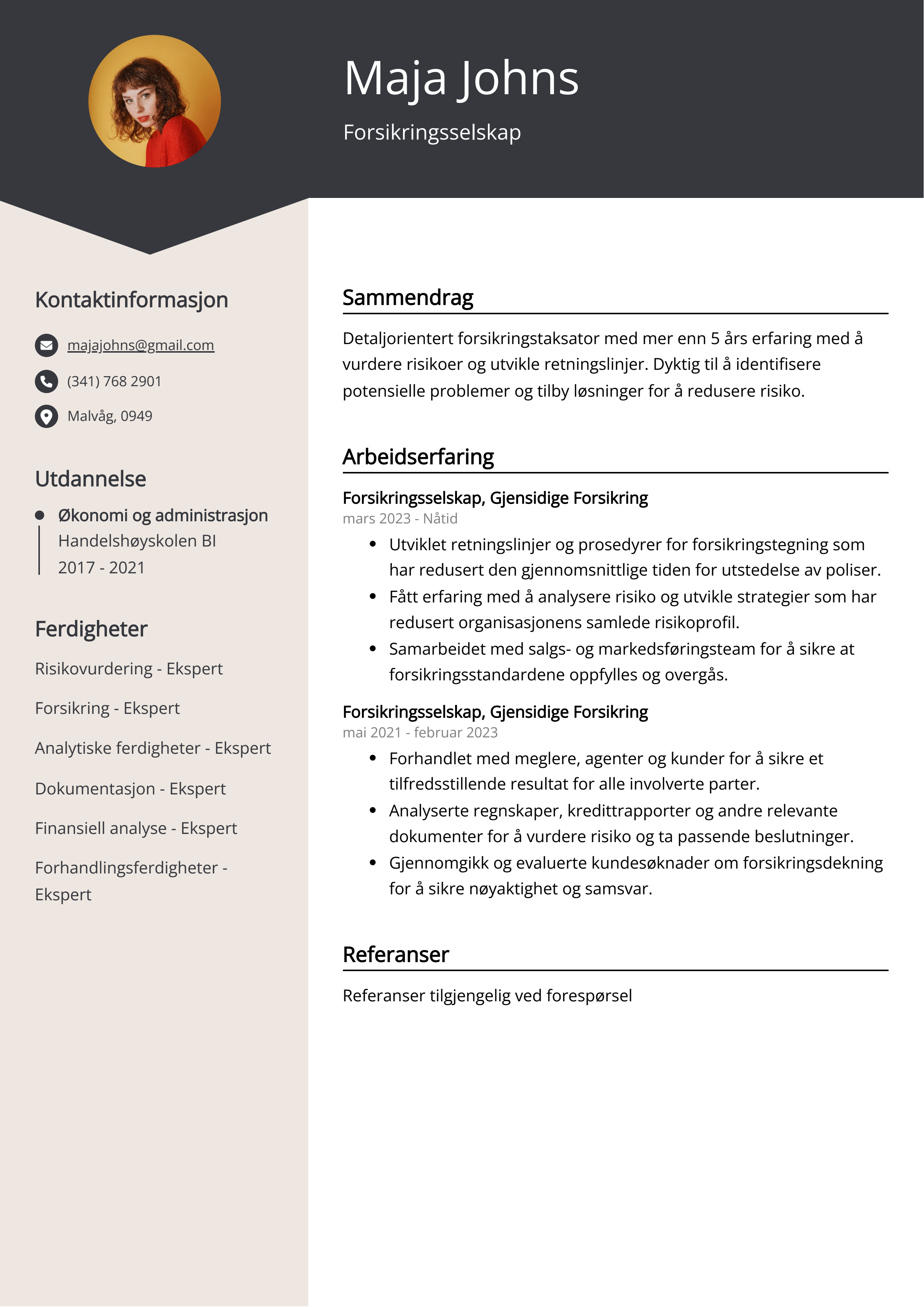 Forsikringsselskap CV Eksempel