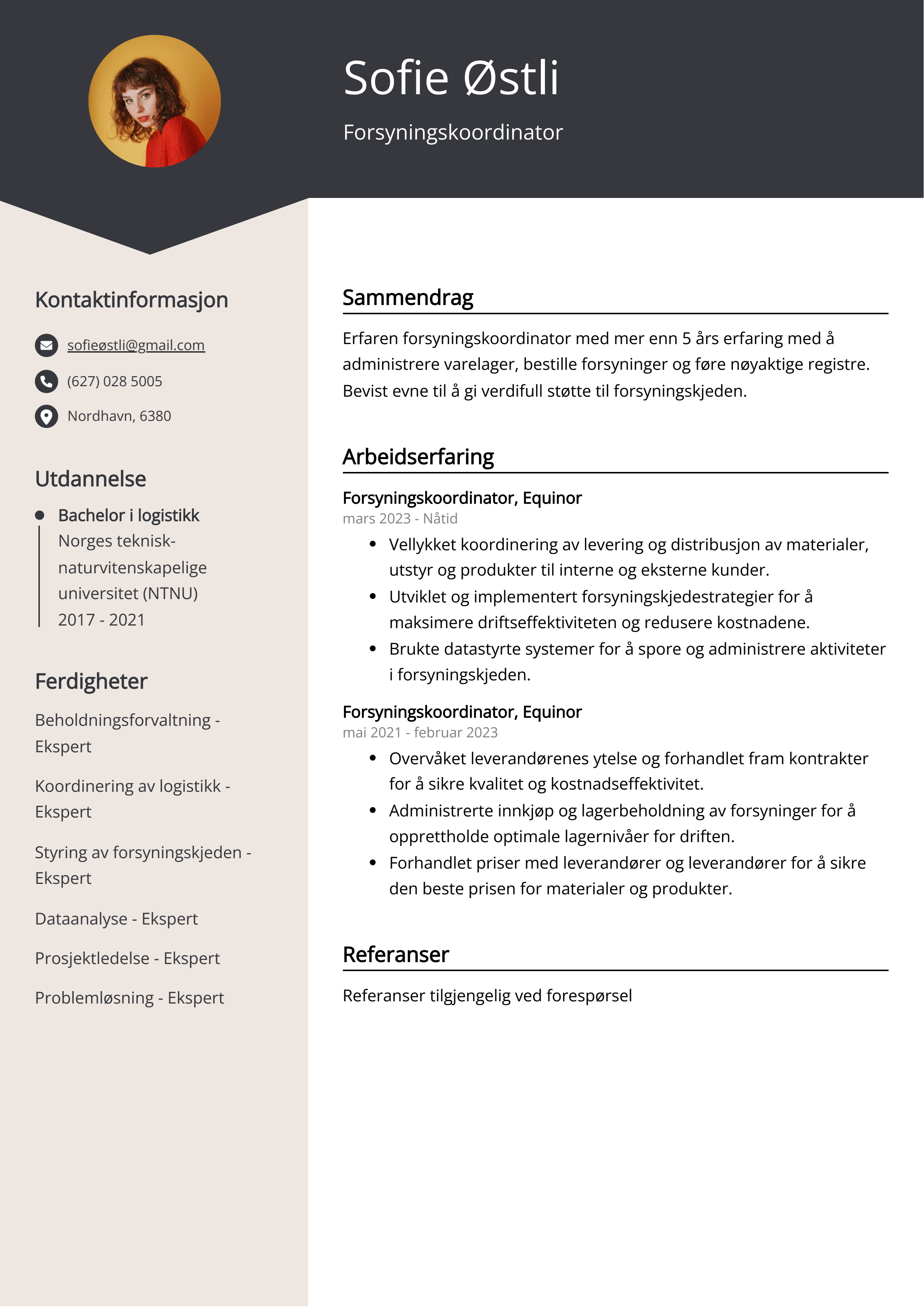 Eksempel på CV for Forsyningskoordinator