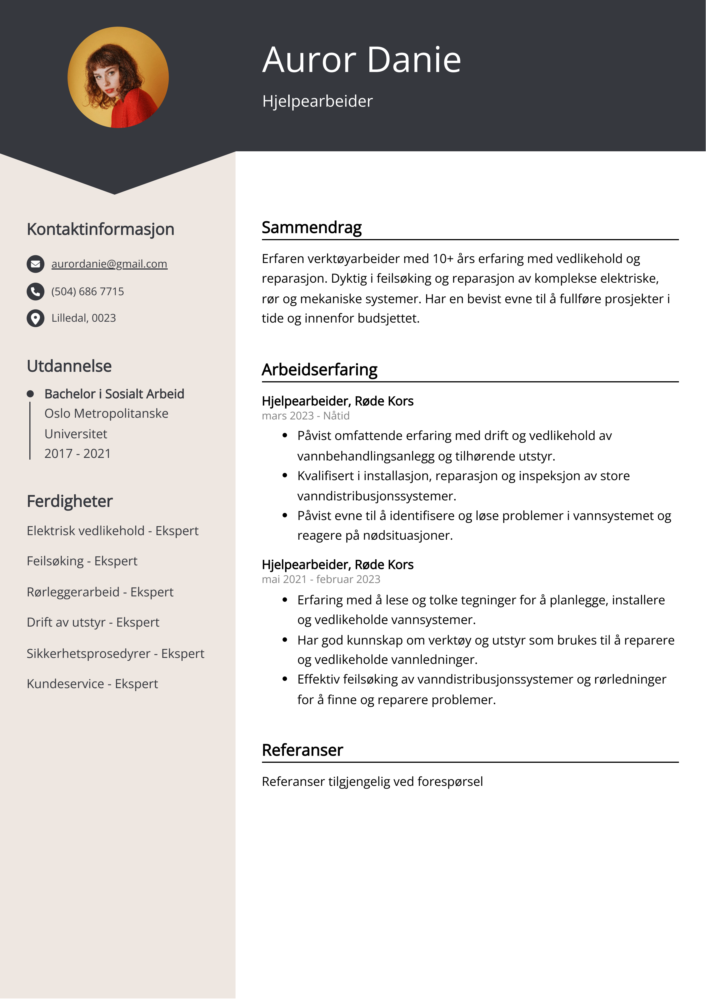 Hjelpearbeider CV Eksempel