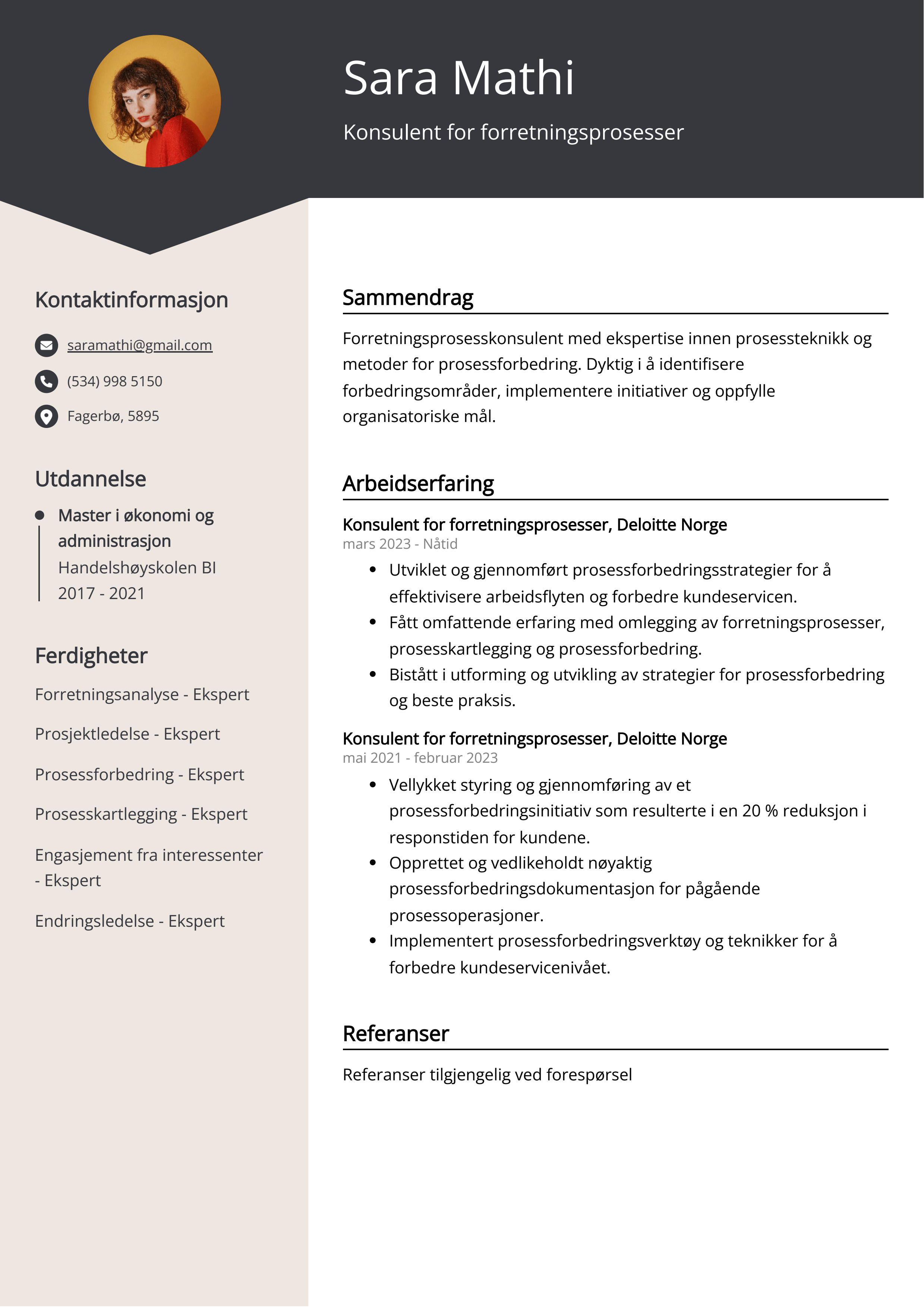 Konsulent for forretningsprosesser CV-eksempel