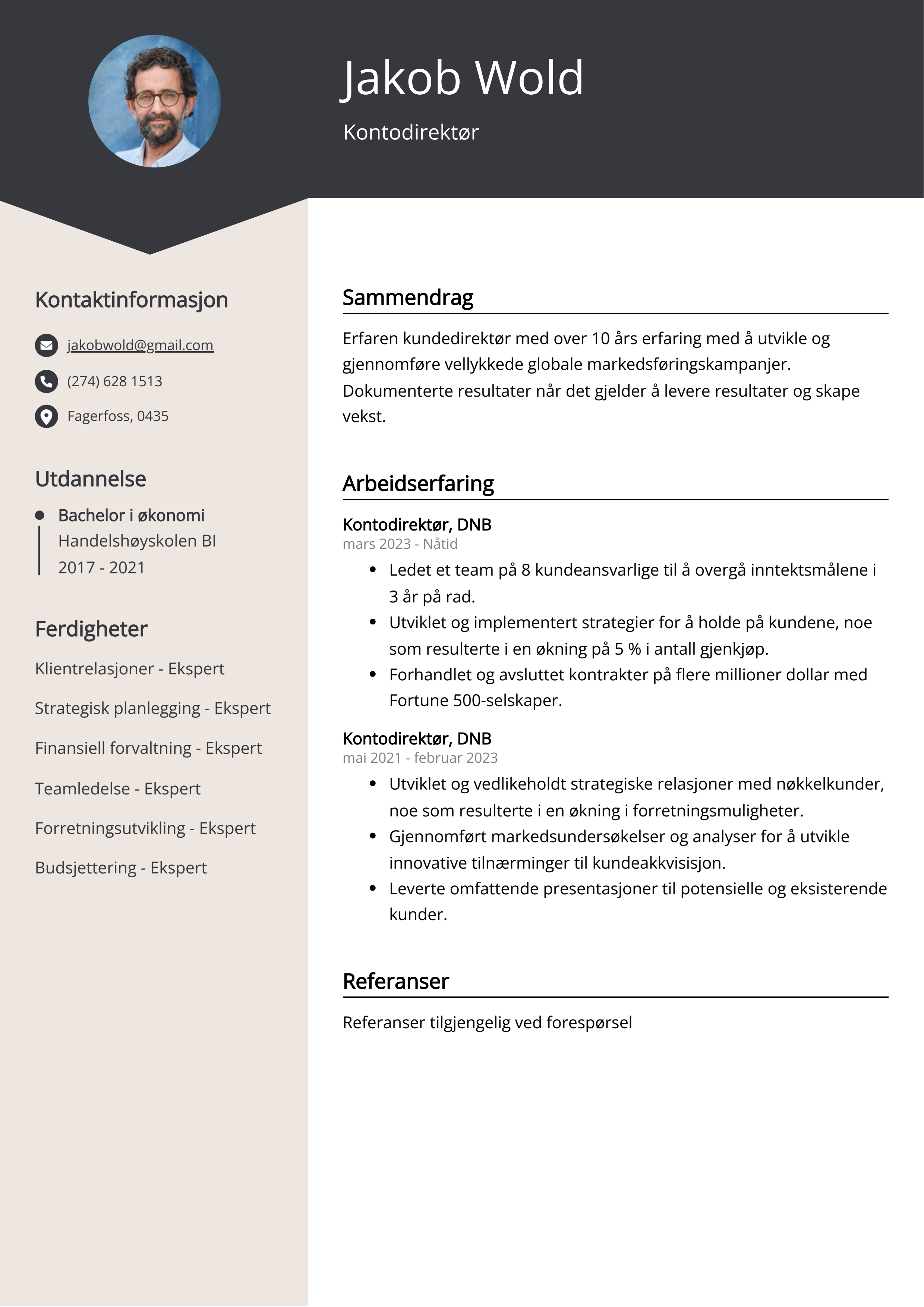 Kontodirektør CV Eksempel