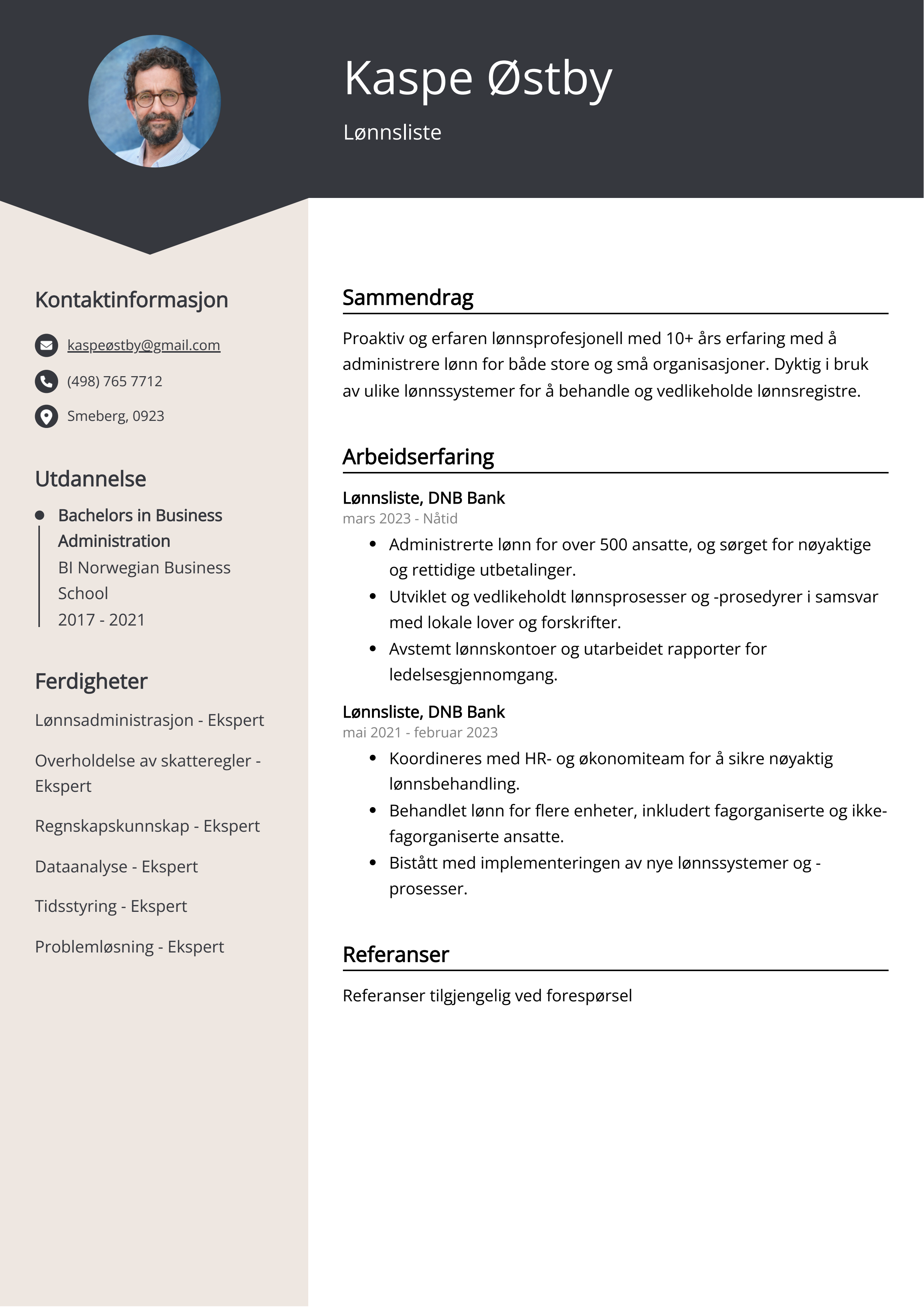 Lønnsliste CV Eksempel