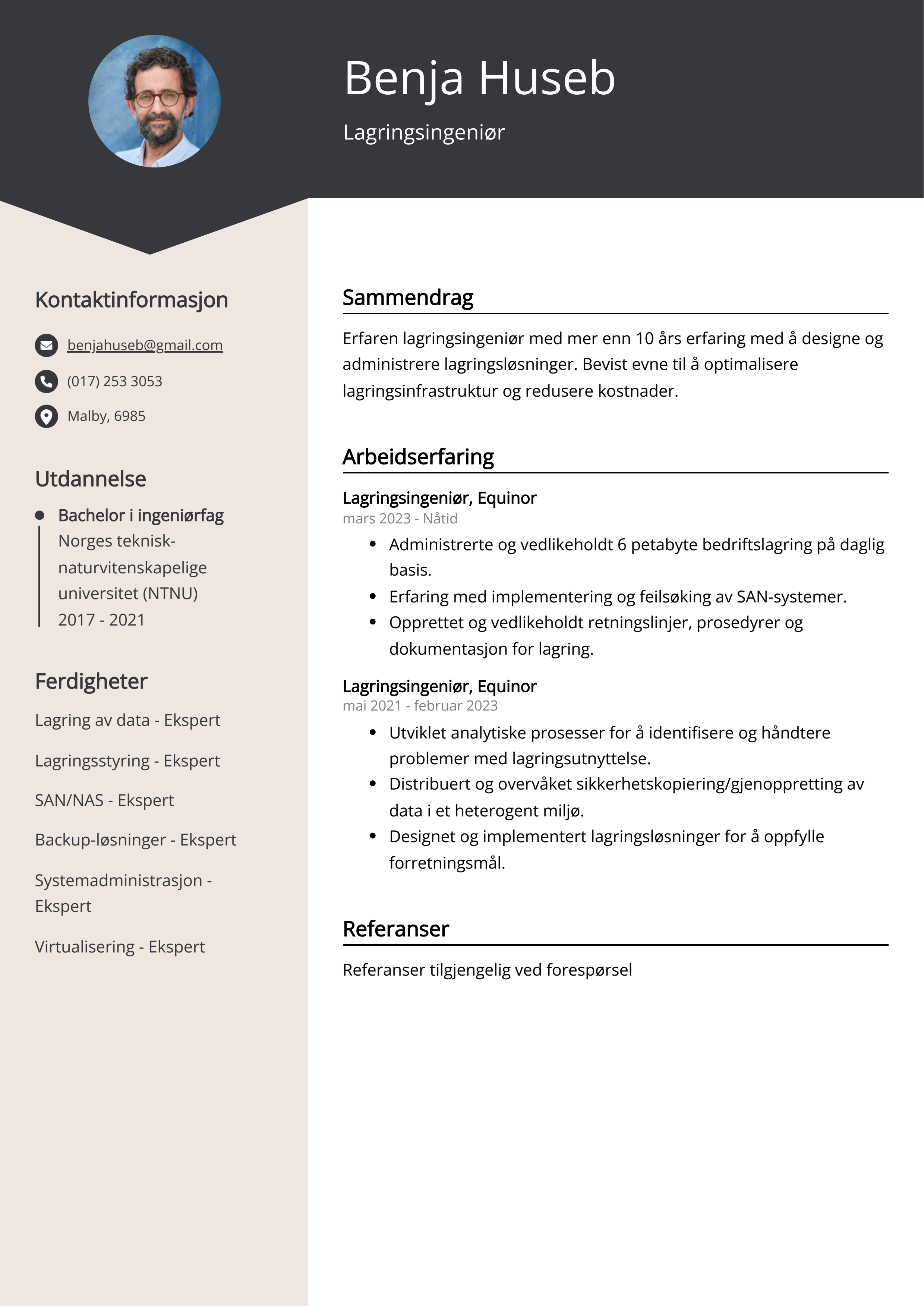 Lagringsingeniør CV-eksempel