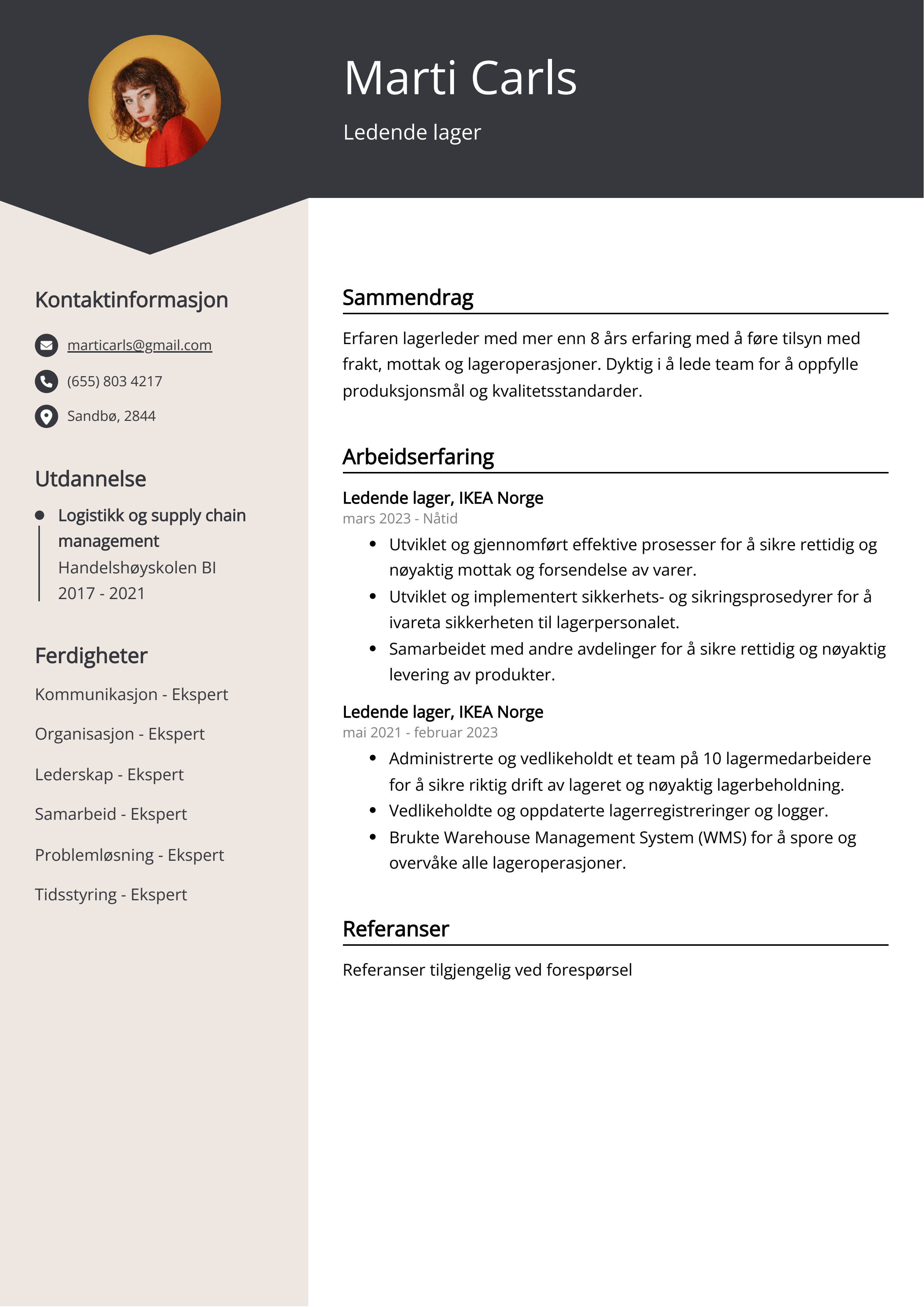 Ledende lager CV Eksempel