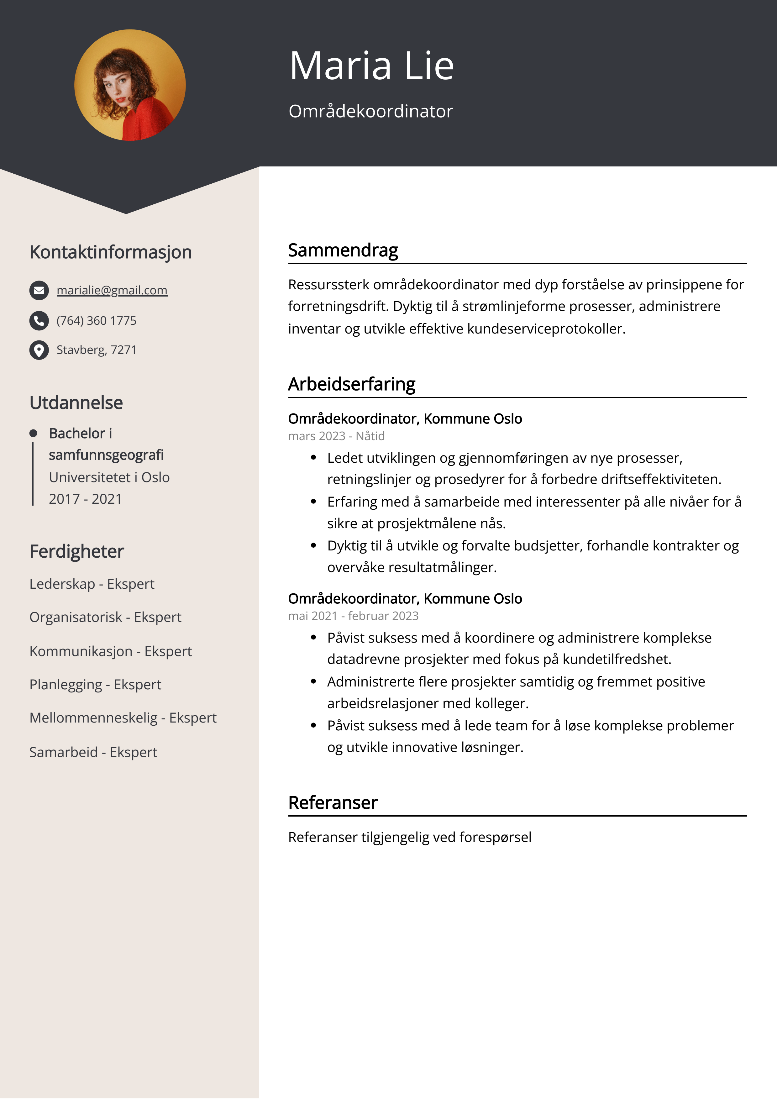 Områdekoordinator CV-eksempel