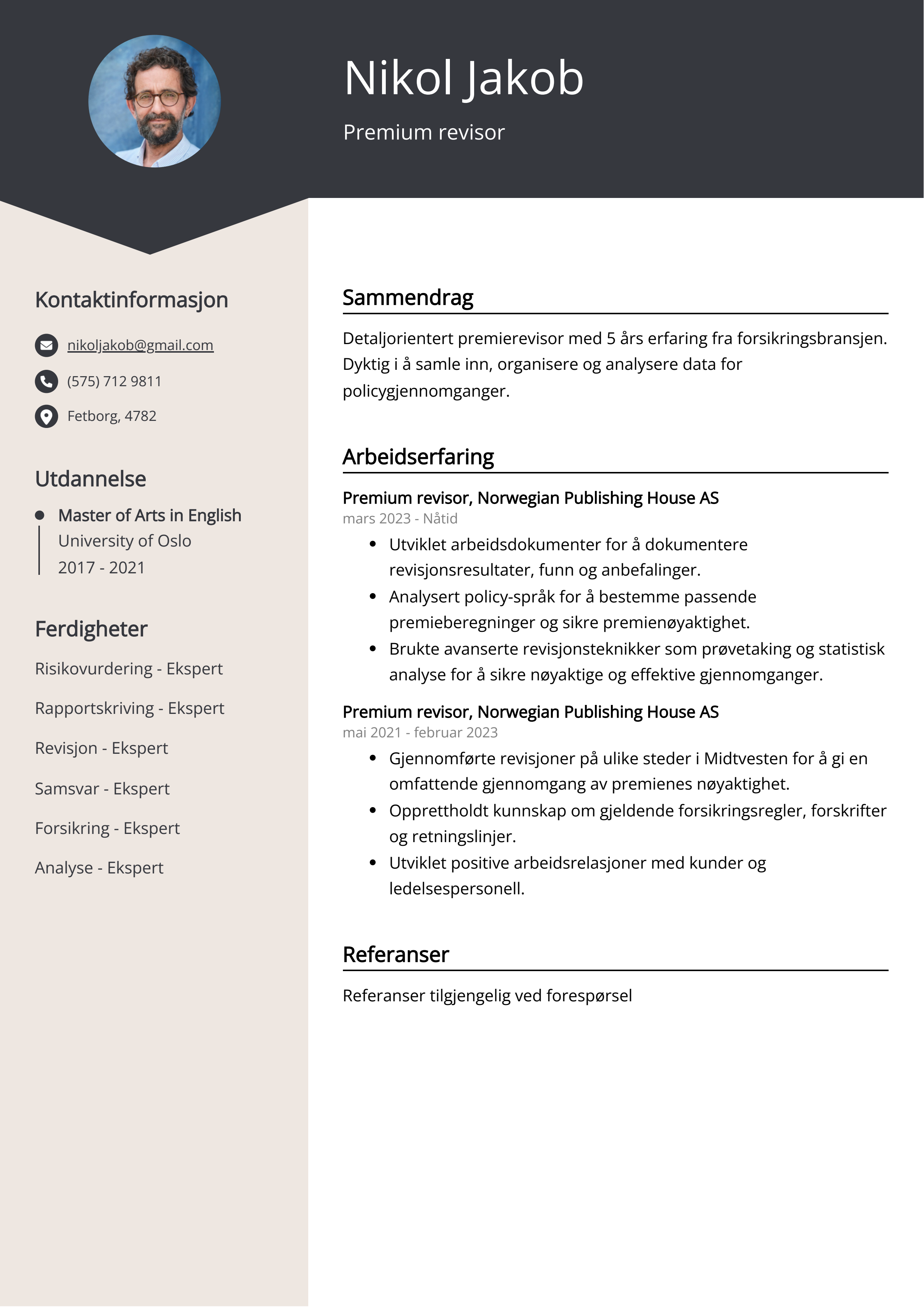 Premium revisor CV-eksempel