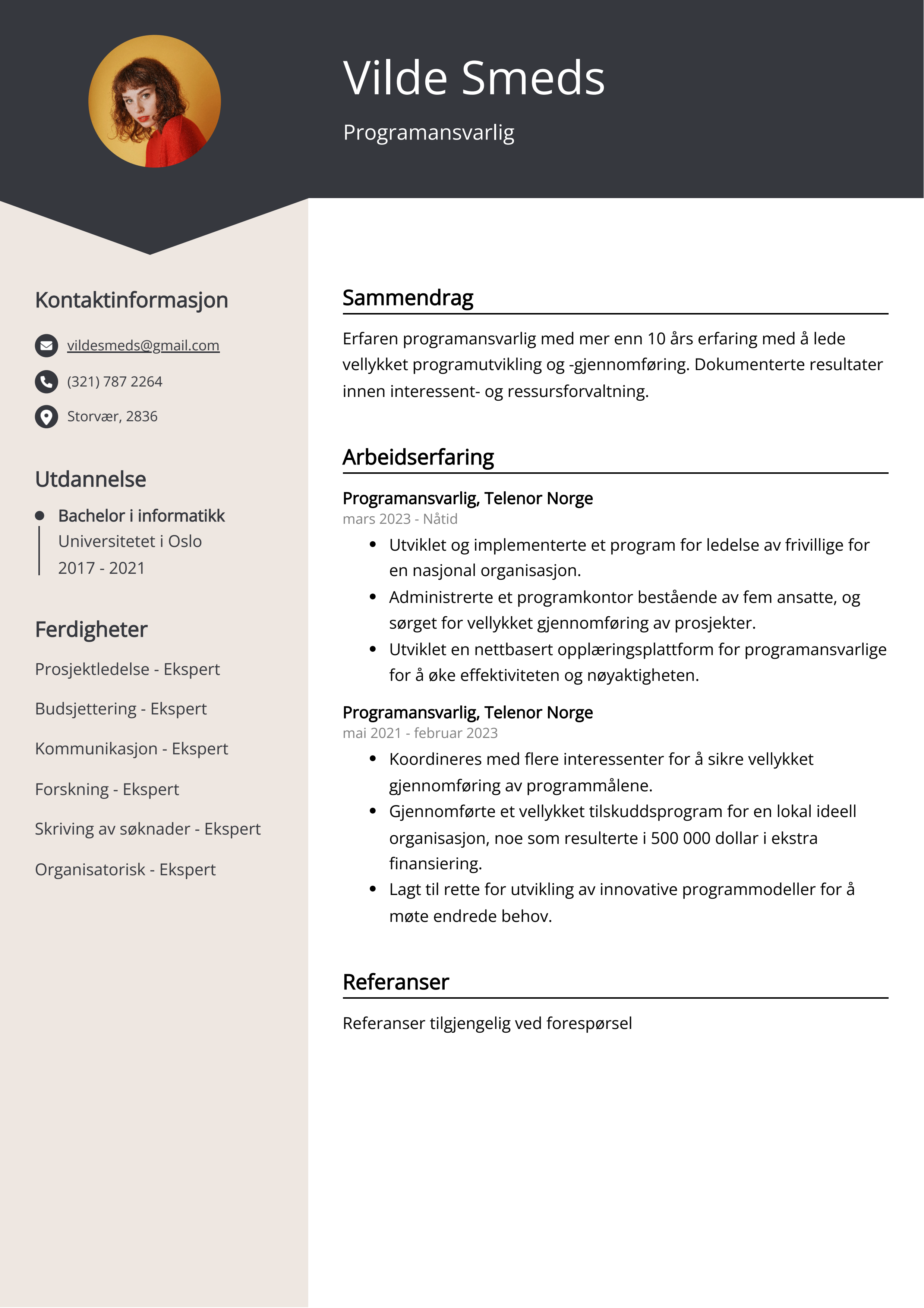 Programansvarlig CV Eksempel