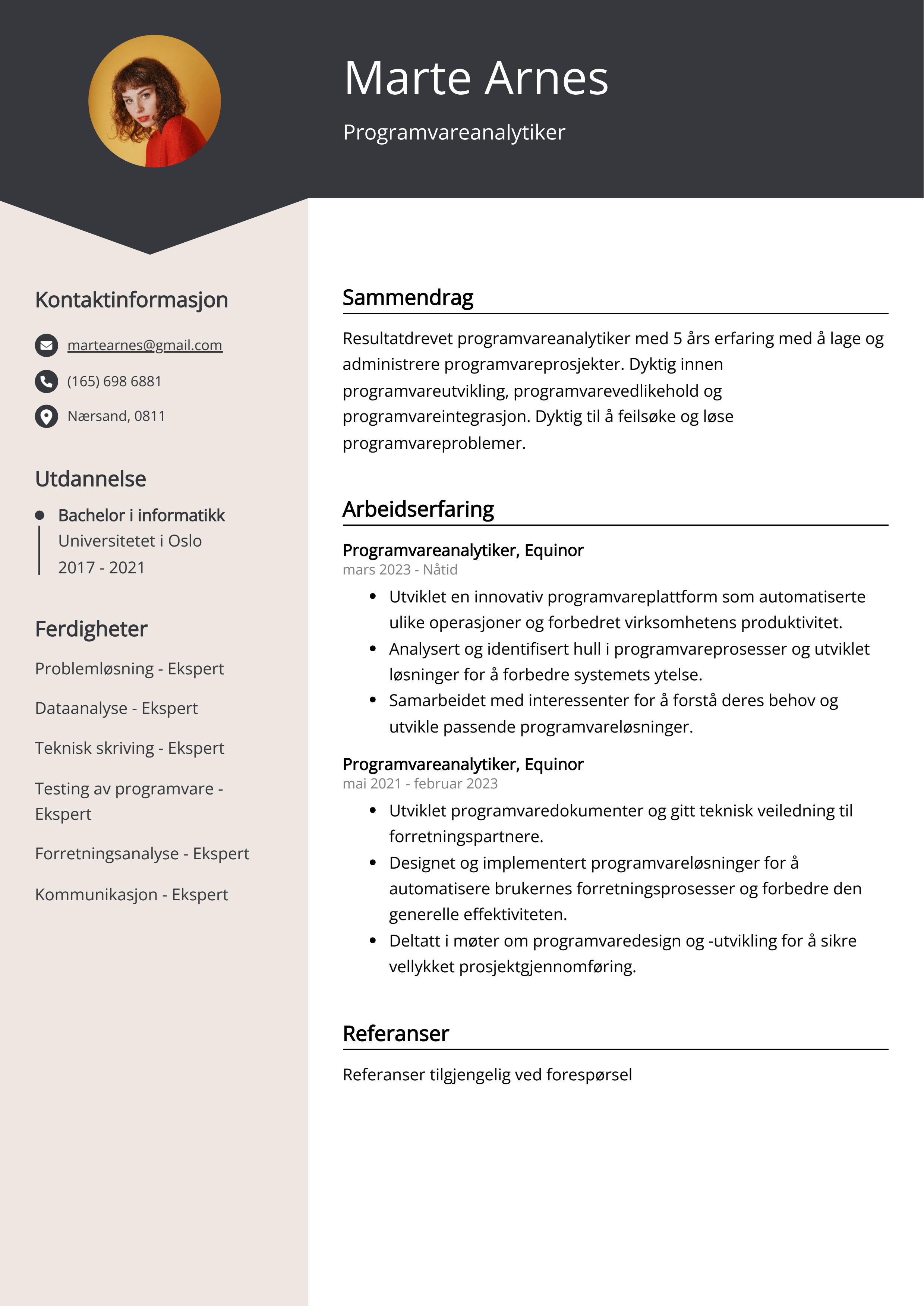 Eksempel på CV for programvareanalytiker