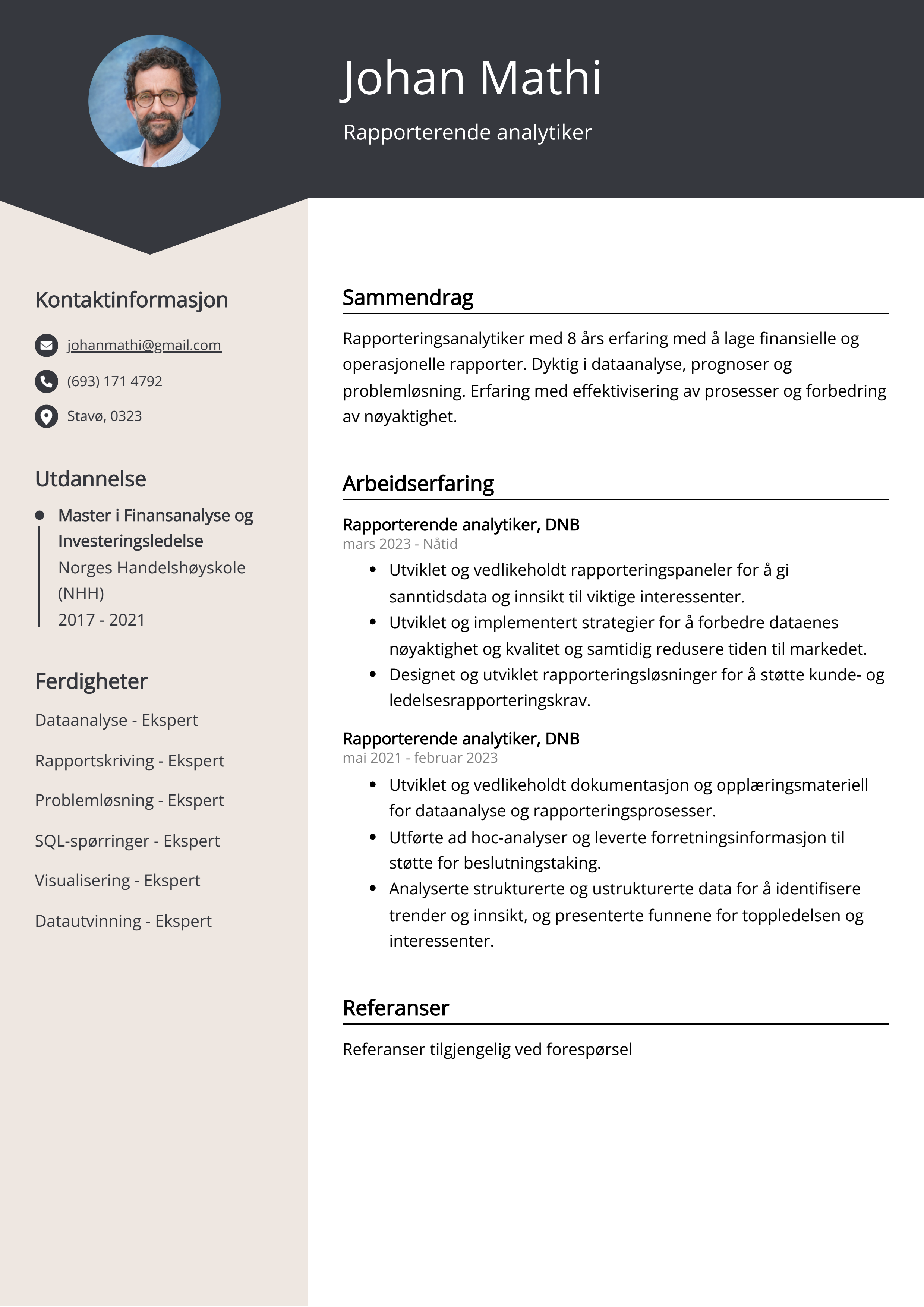 Rapporterende analytiker CV Eksempel