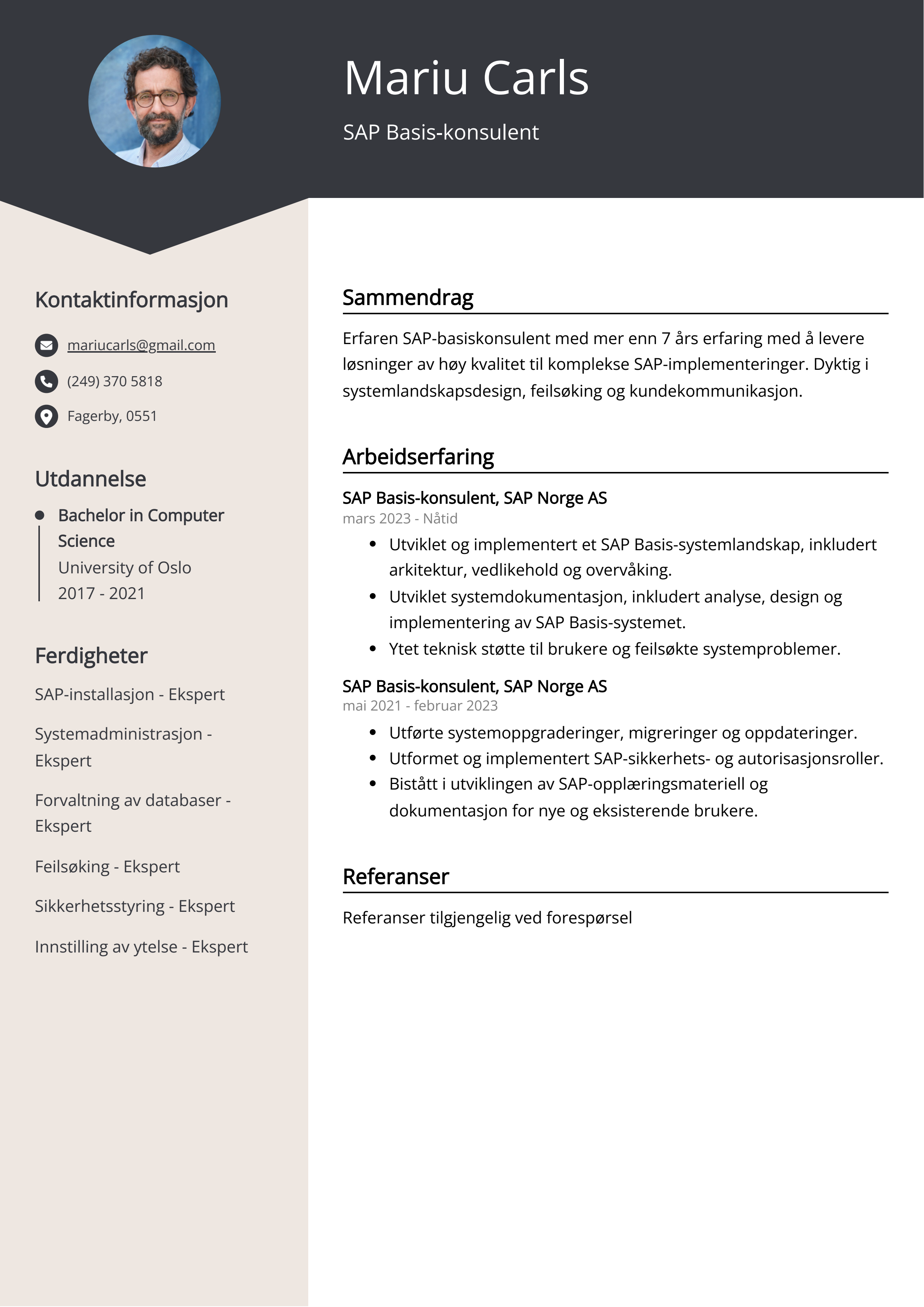 Eksempel på CV for SAP-basiskonsulenter