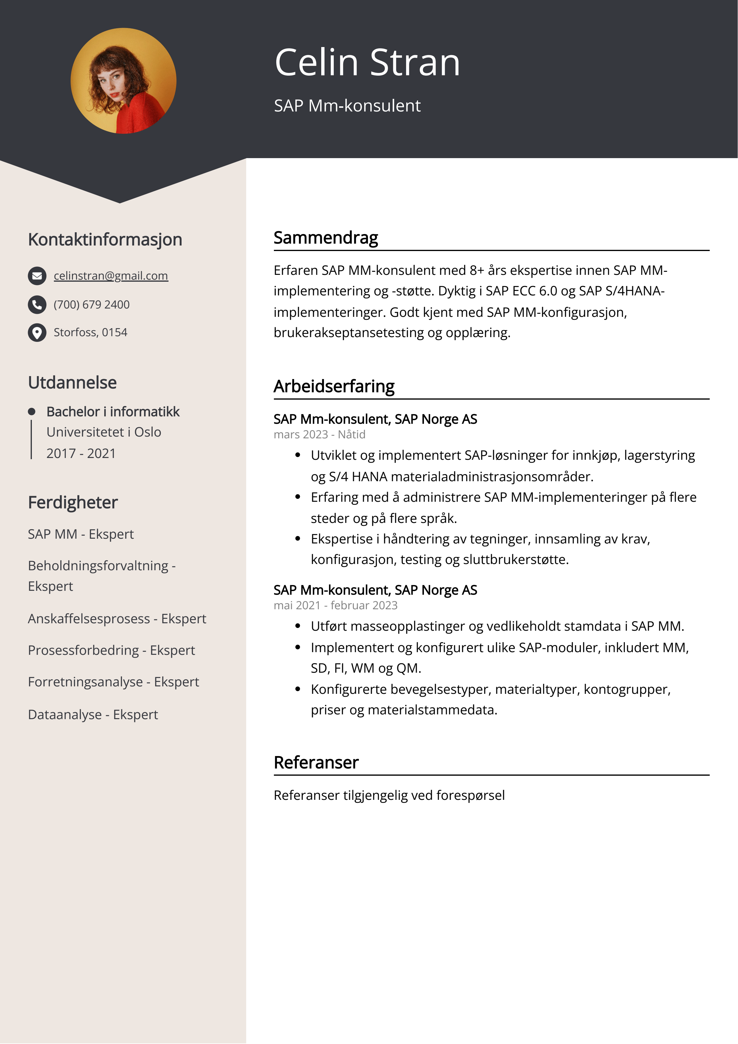 Eksempel på CV for SAP Mm-konsulent