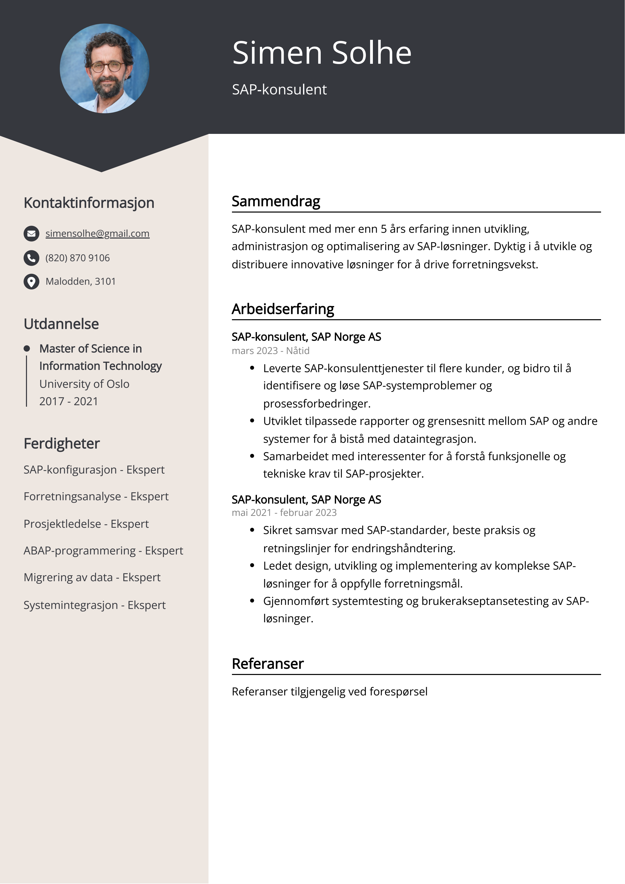 Eksempel på CV for SAP-konsulent