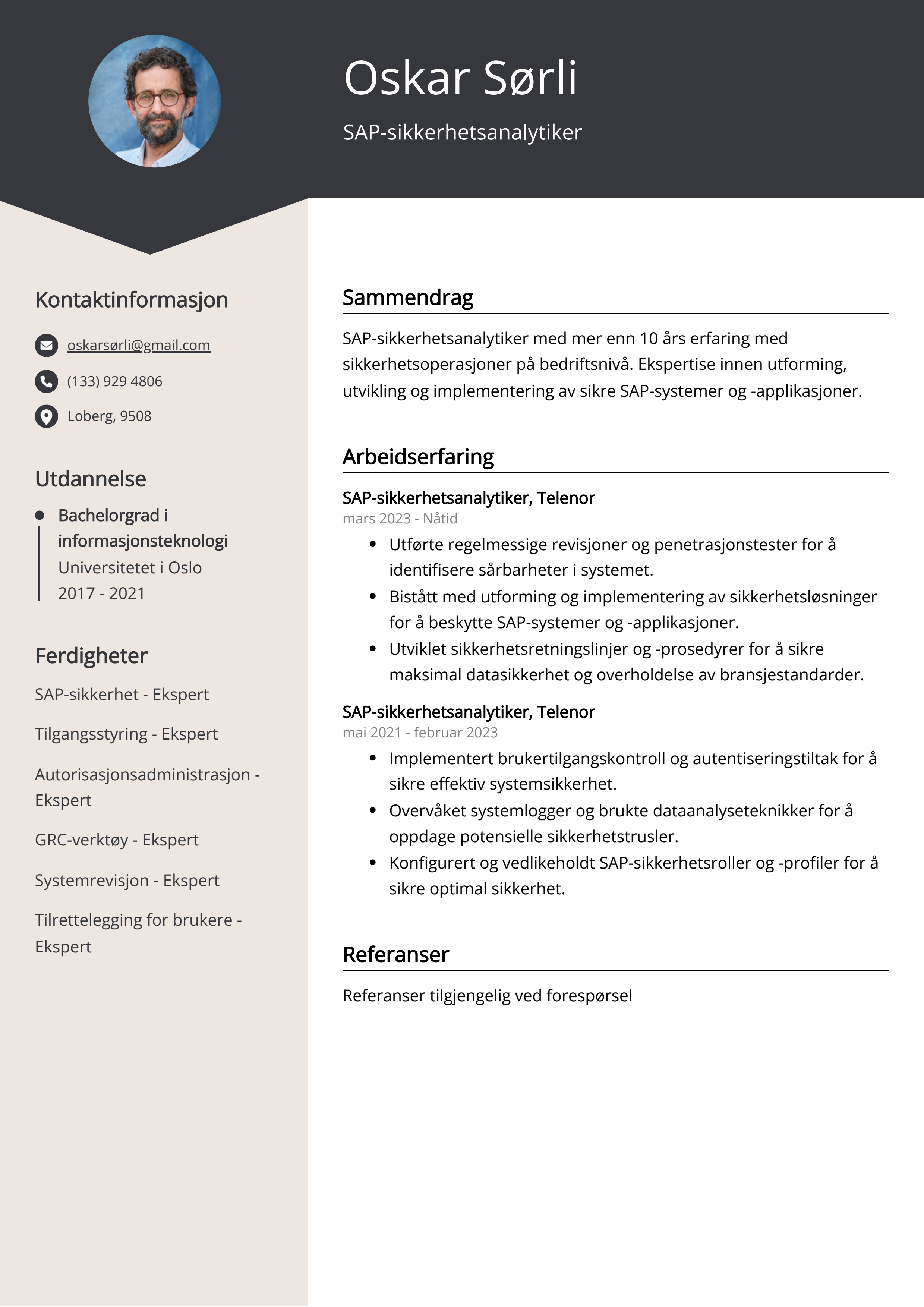 SAP-sikkerhetsanalytiker CV Eksempel
