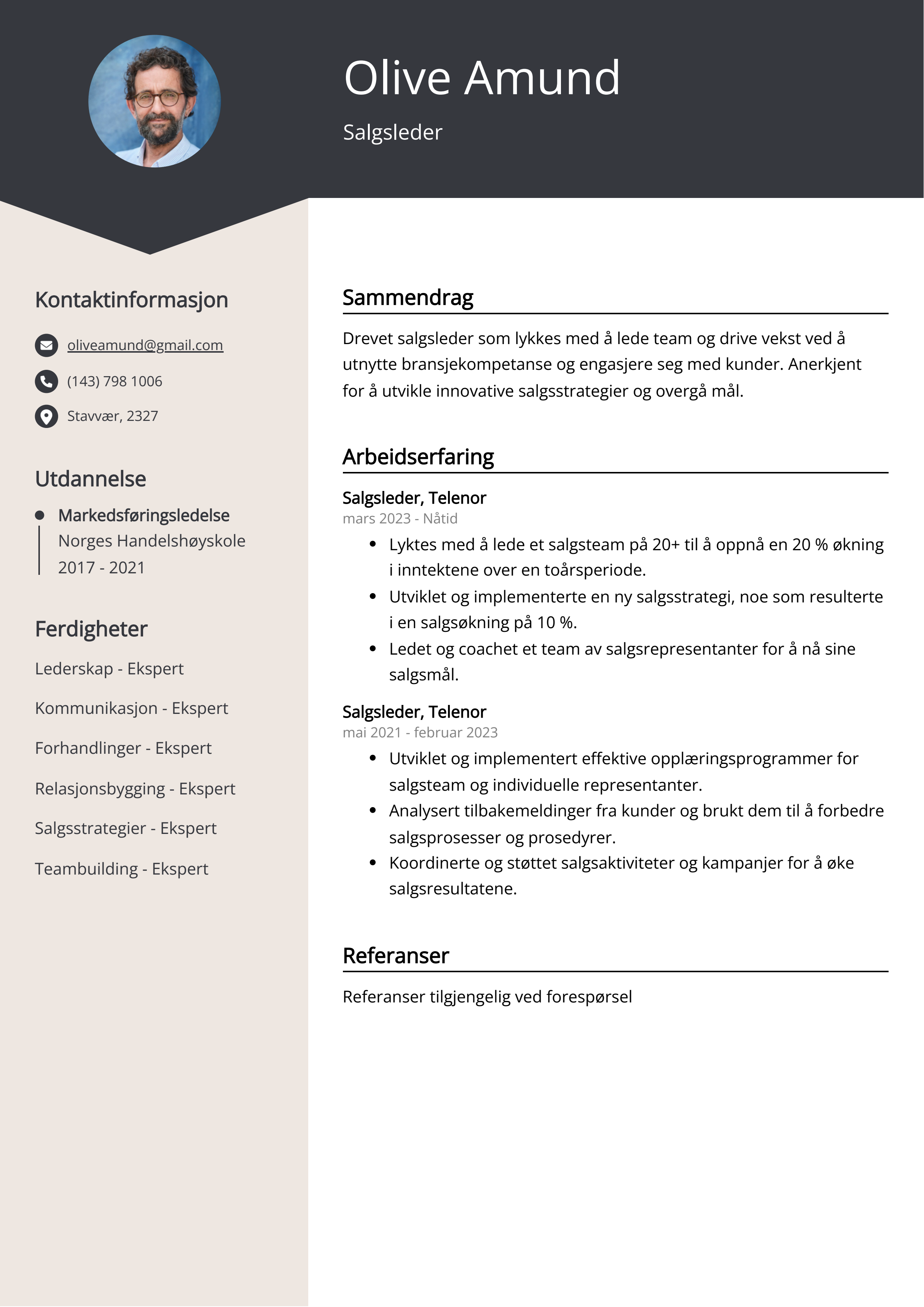 Salgsleder CV Eksempel