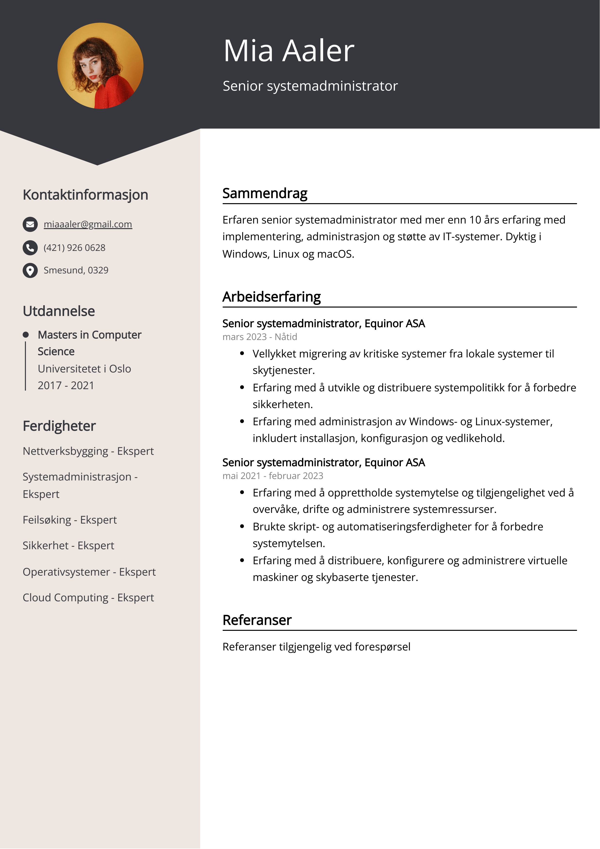 Senior systemadministrator CV-eksempel