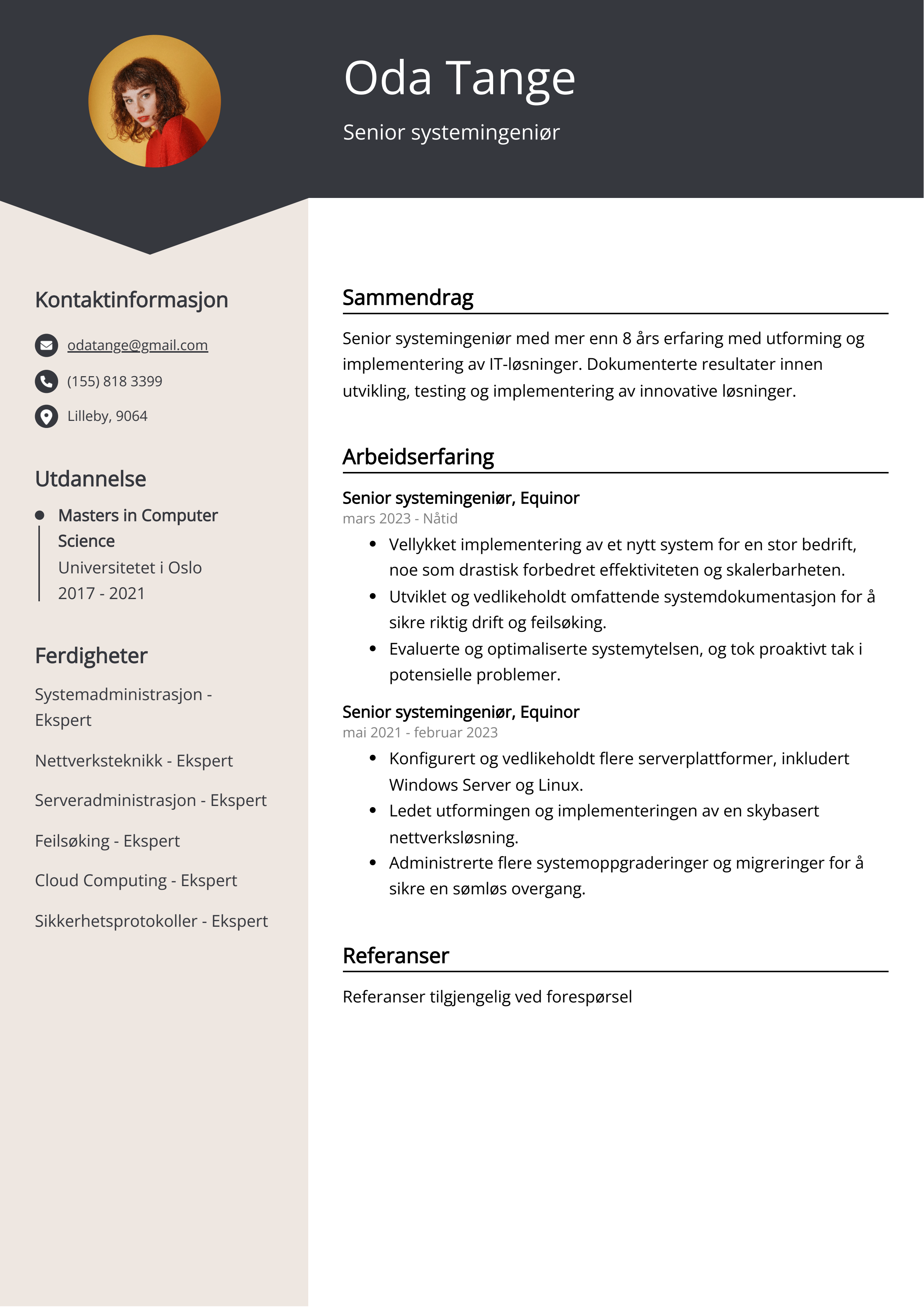 Senior systemingeniør CV-eksempel