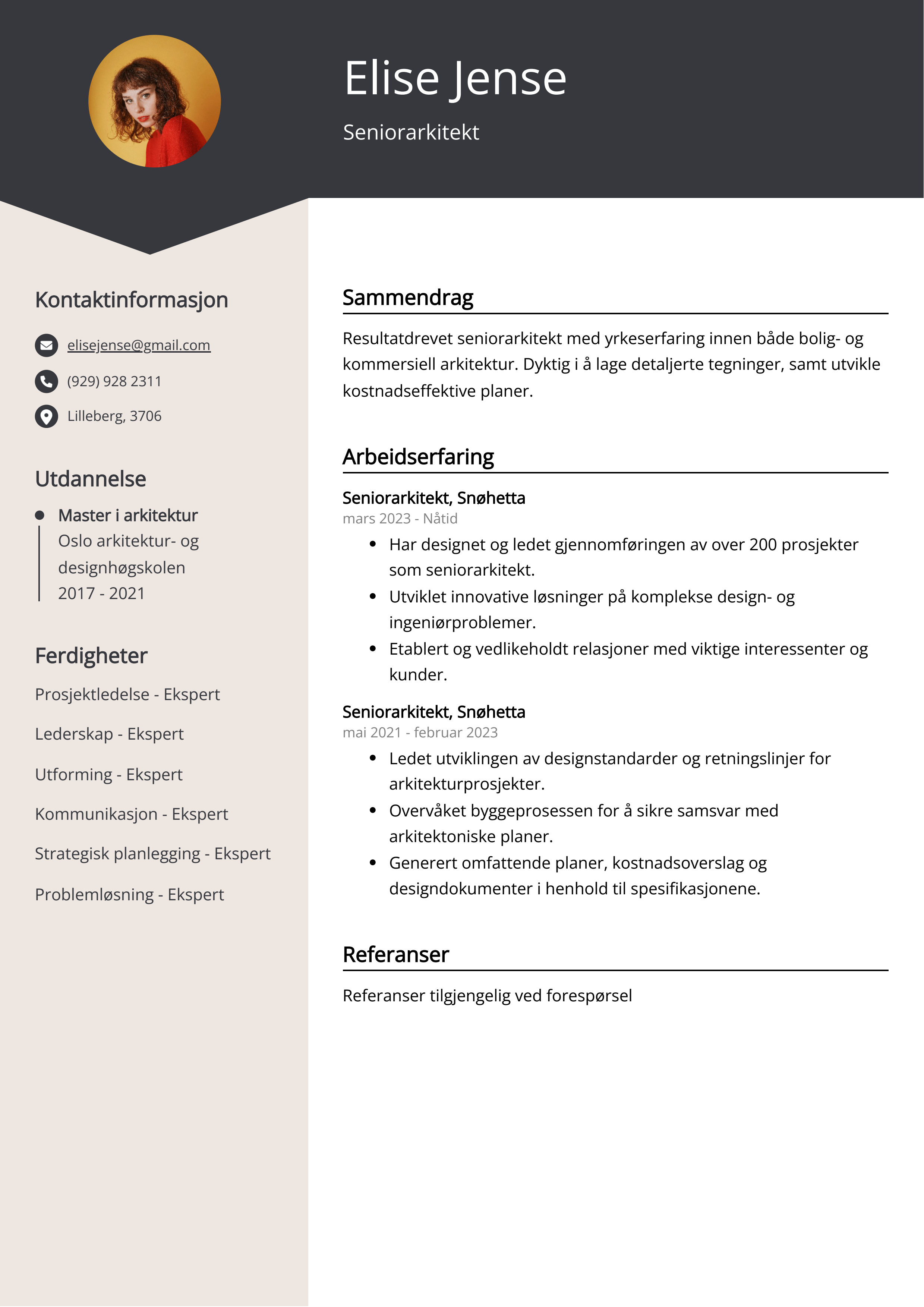 Seniorarkitekt CV Eksempel