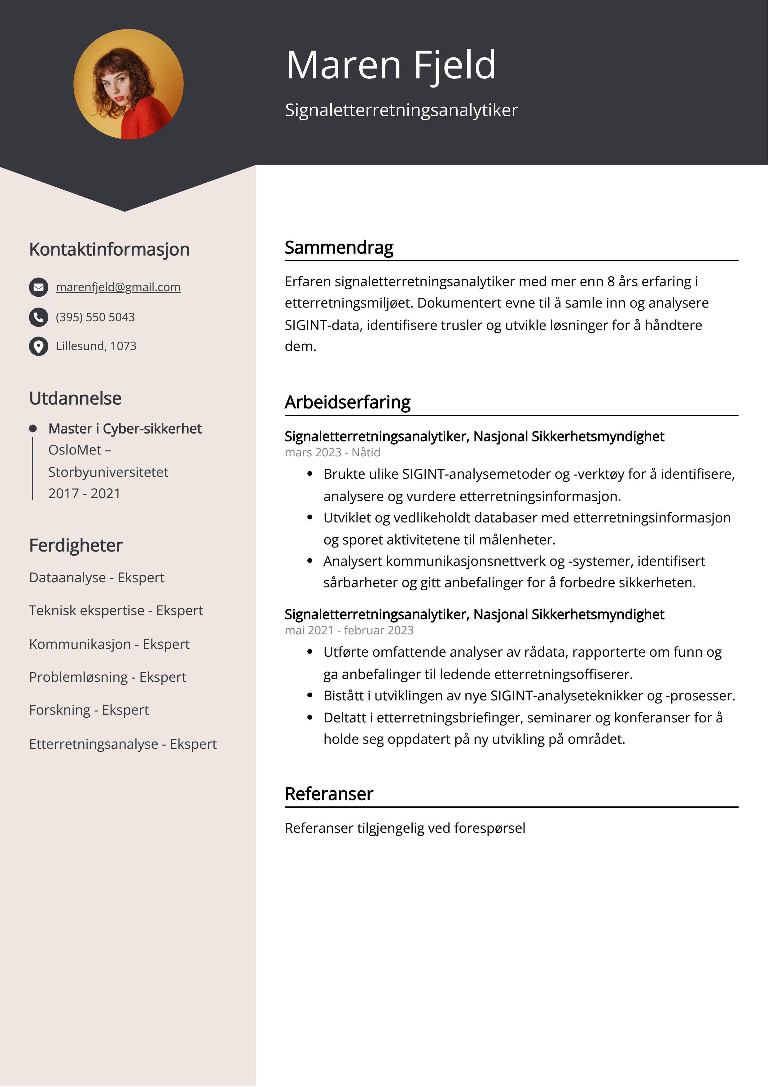 Eksempel på CV for Signaletterretningsanalytiker