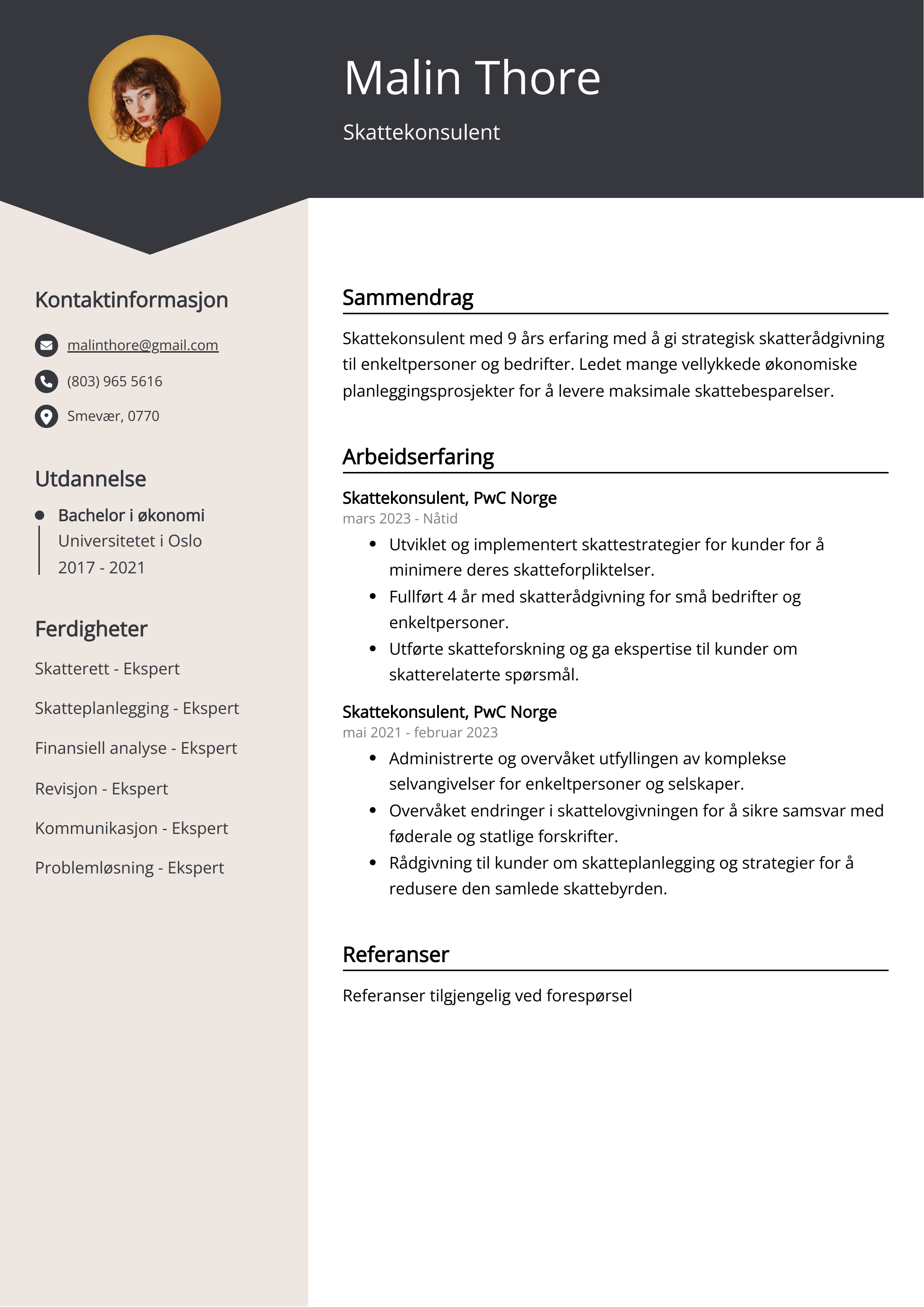 Skattekonsulent CV-eksempel