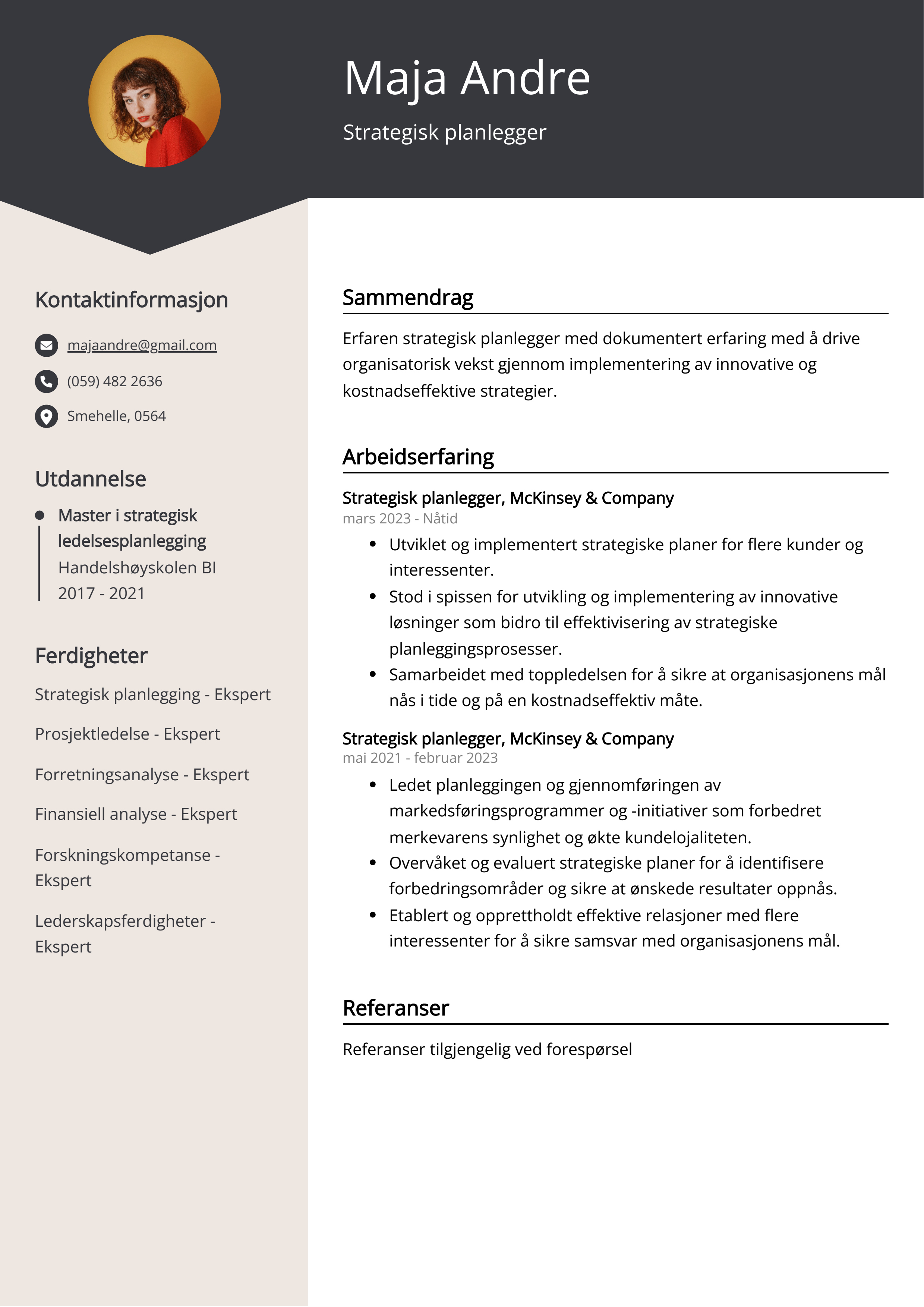 Strategisk planlegger CV Eksempel