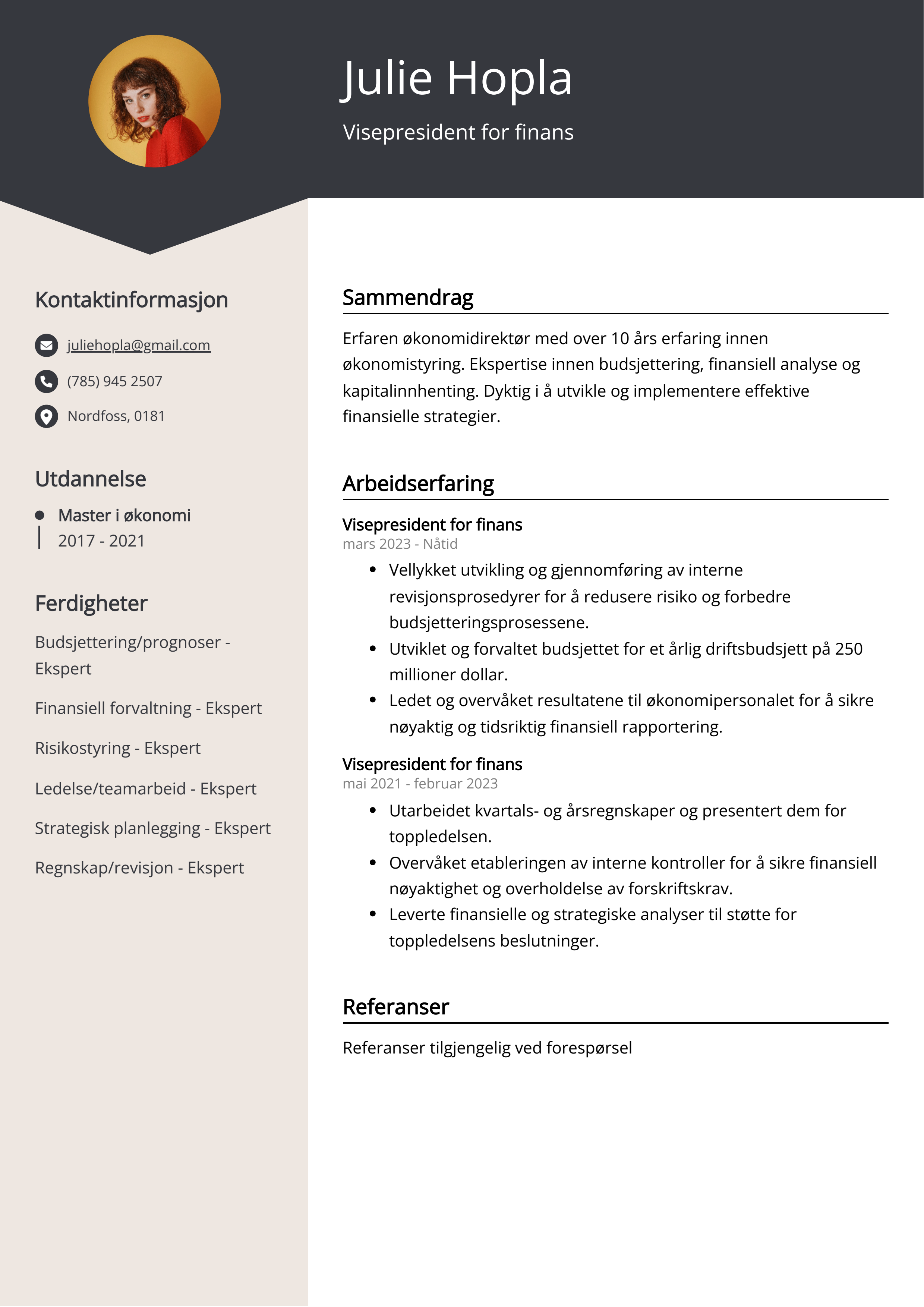 Visepresident for finans CV-eksempel